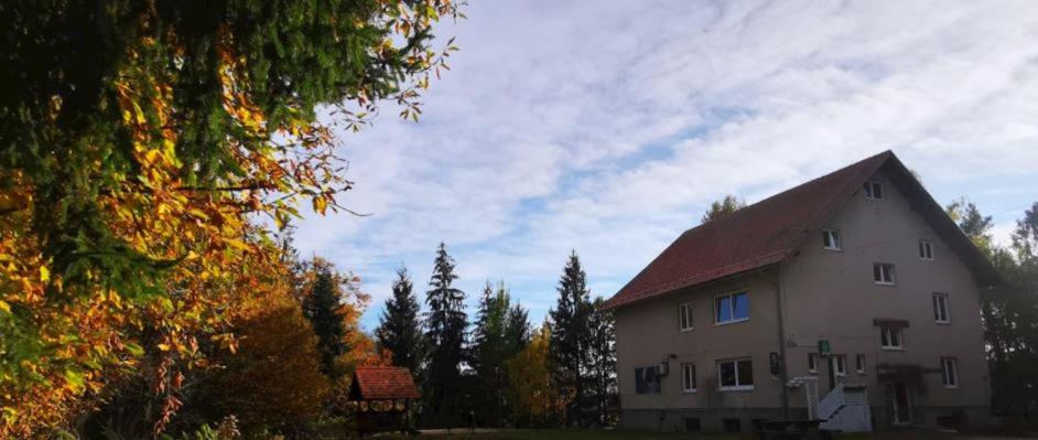 Photo 43