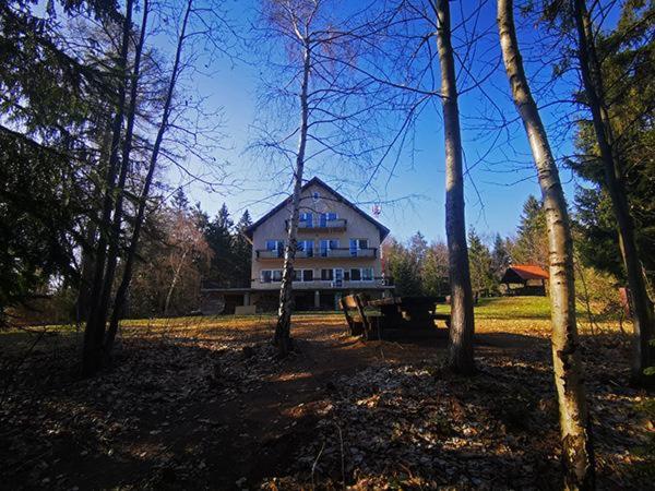 Photo 47