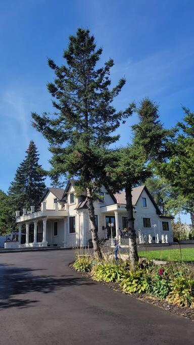 Beautiful luxurious suite close to lakeshore