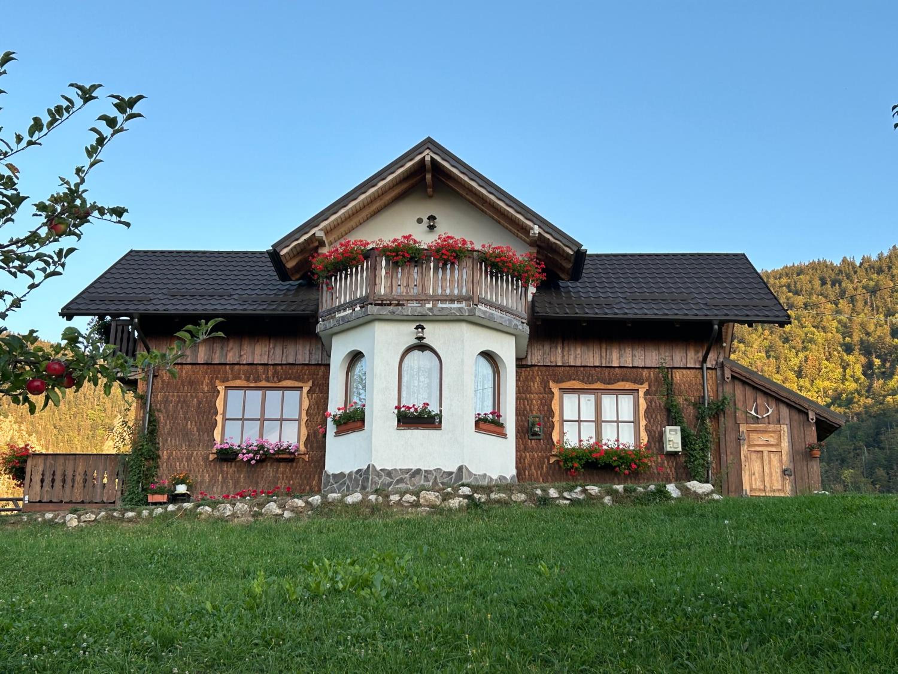Casa Muchia lui Gîrniță view 4