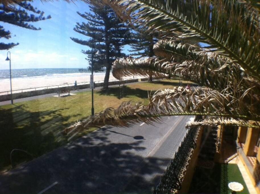 Absolute Beachfront Apartment, amazing sunsets