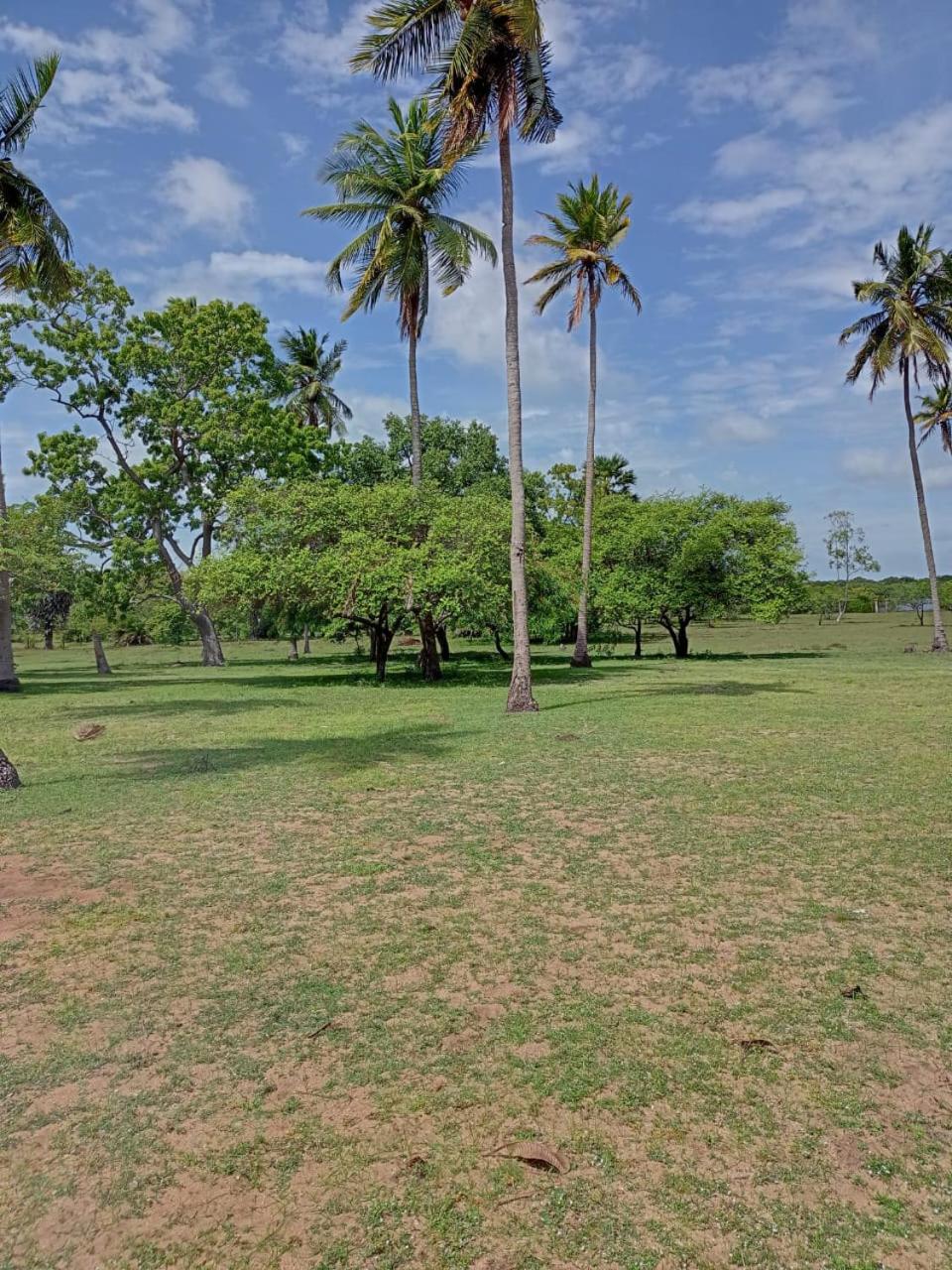 Surya Lagoon Village