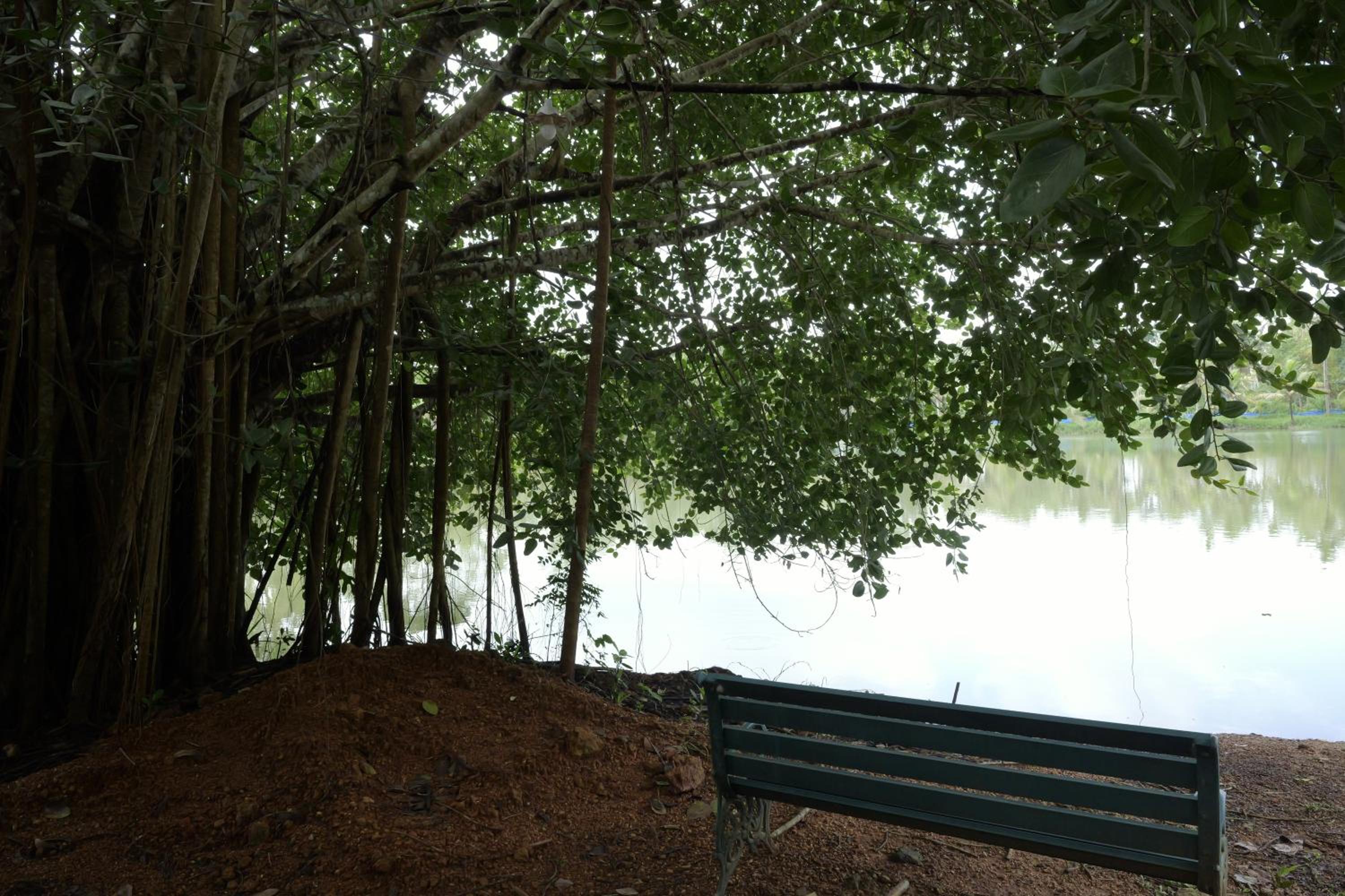 ChirpingNest - Tranquil Exclusive Retreat