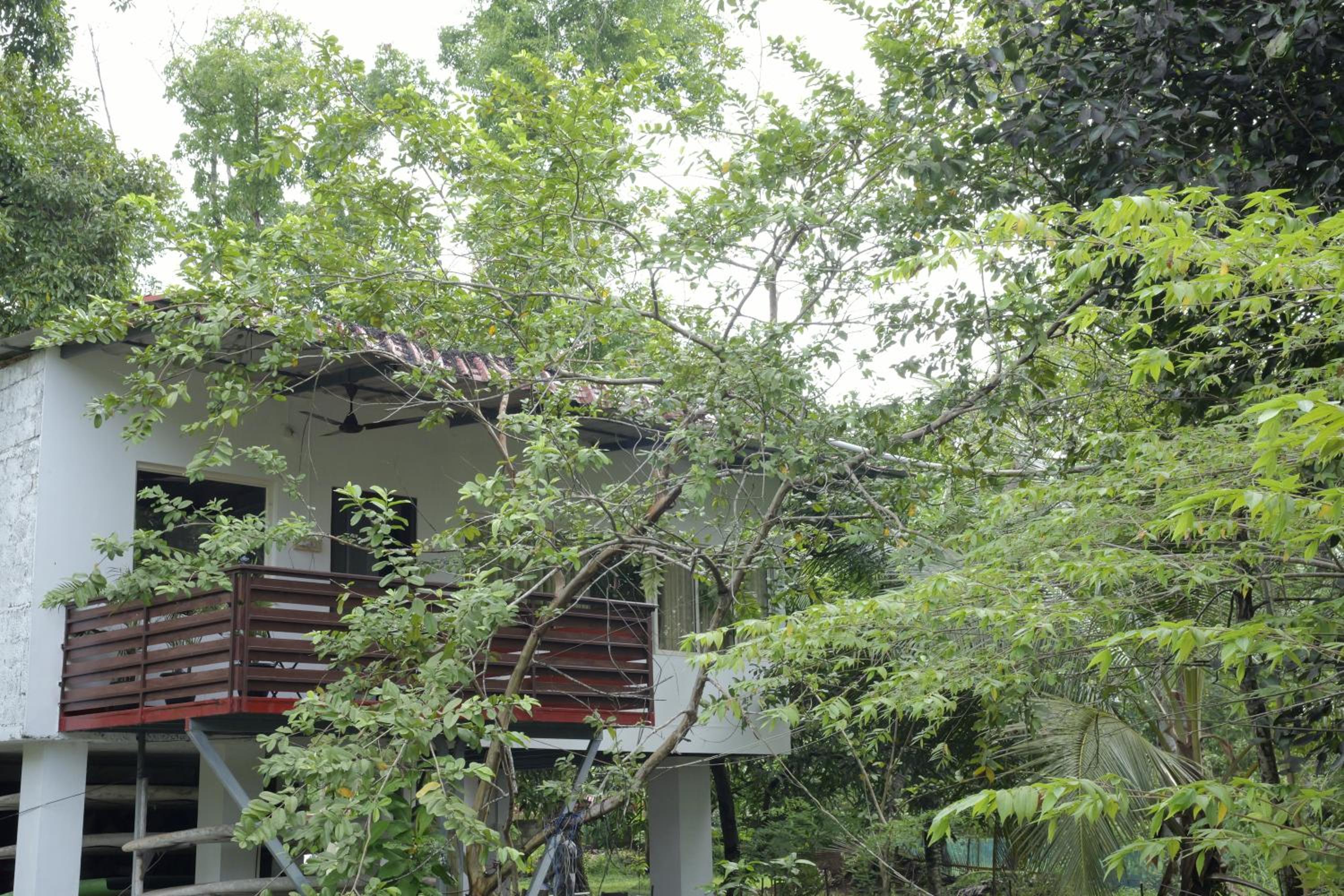 ChirpingNest - Tranquil Exclusive Retreat