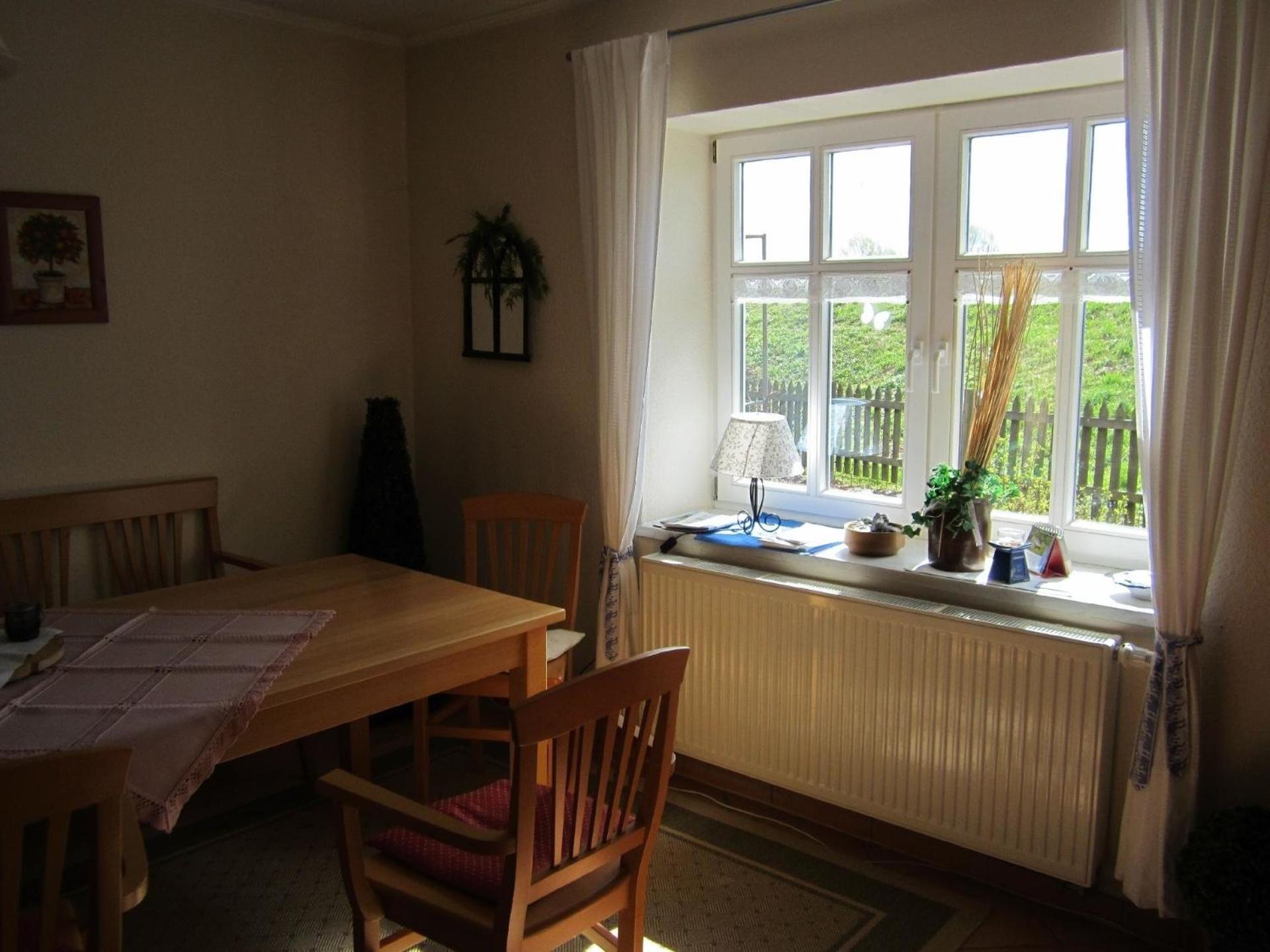 Haus Elbrose inmitten von Rosen mit Elbdeichzugang