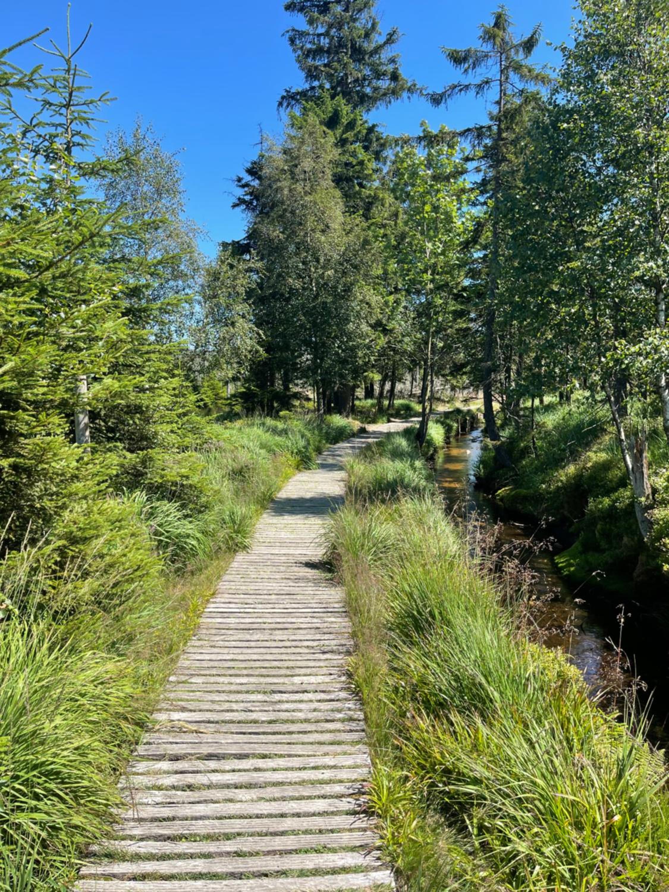 Harz Escape