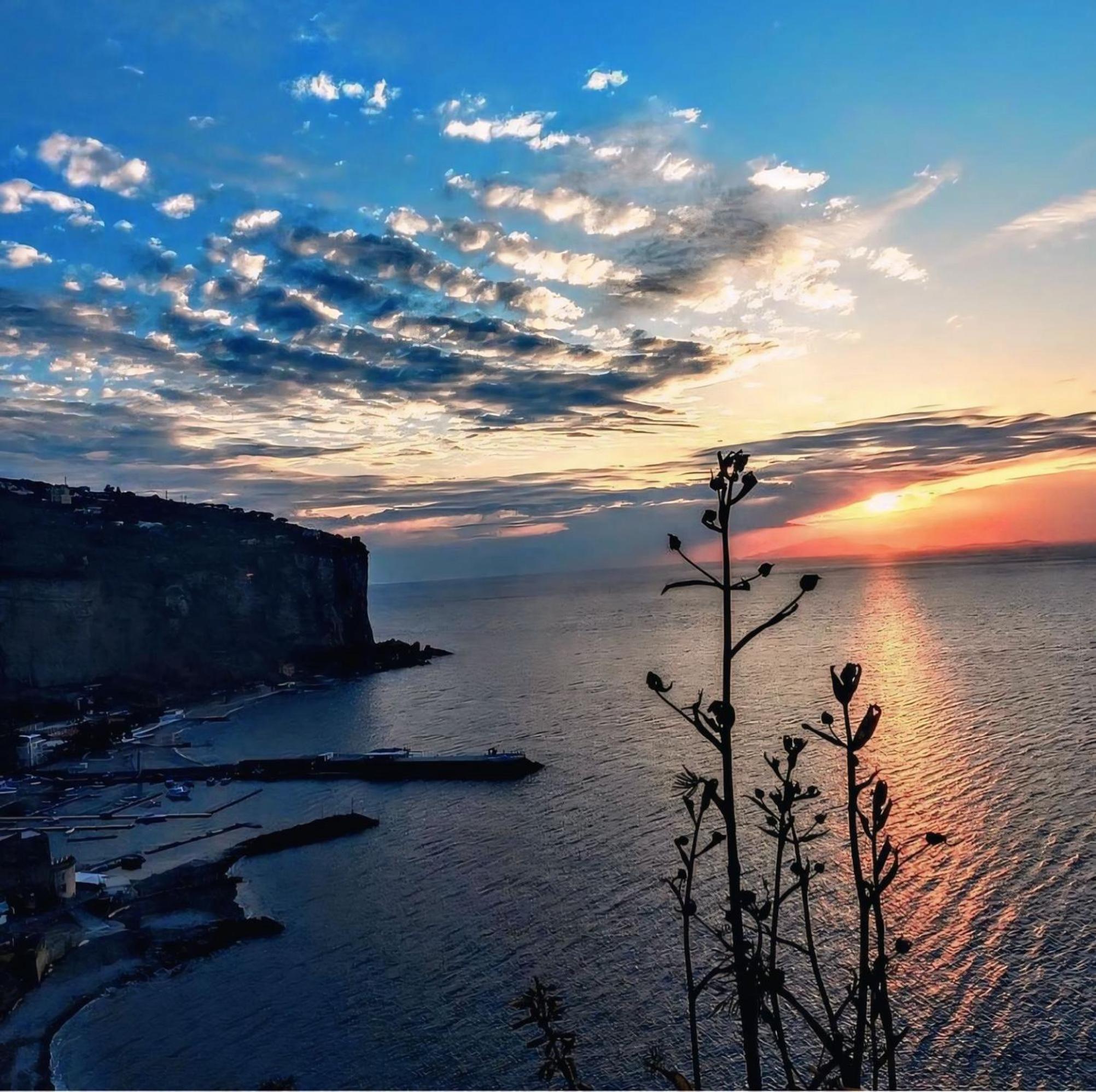 Maison Vico94 photo 5