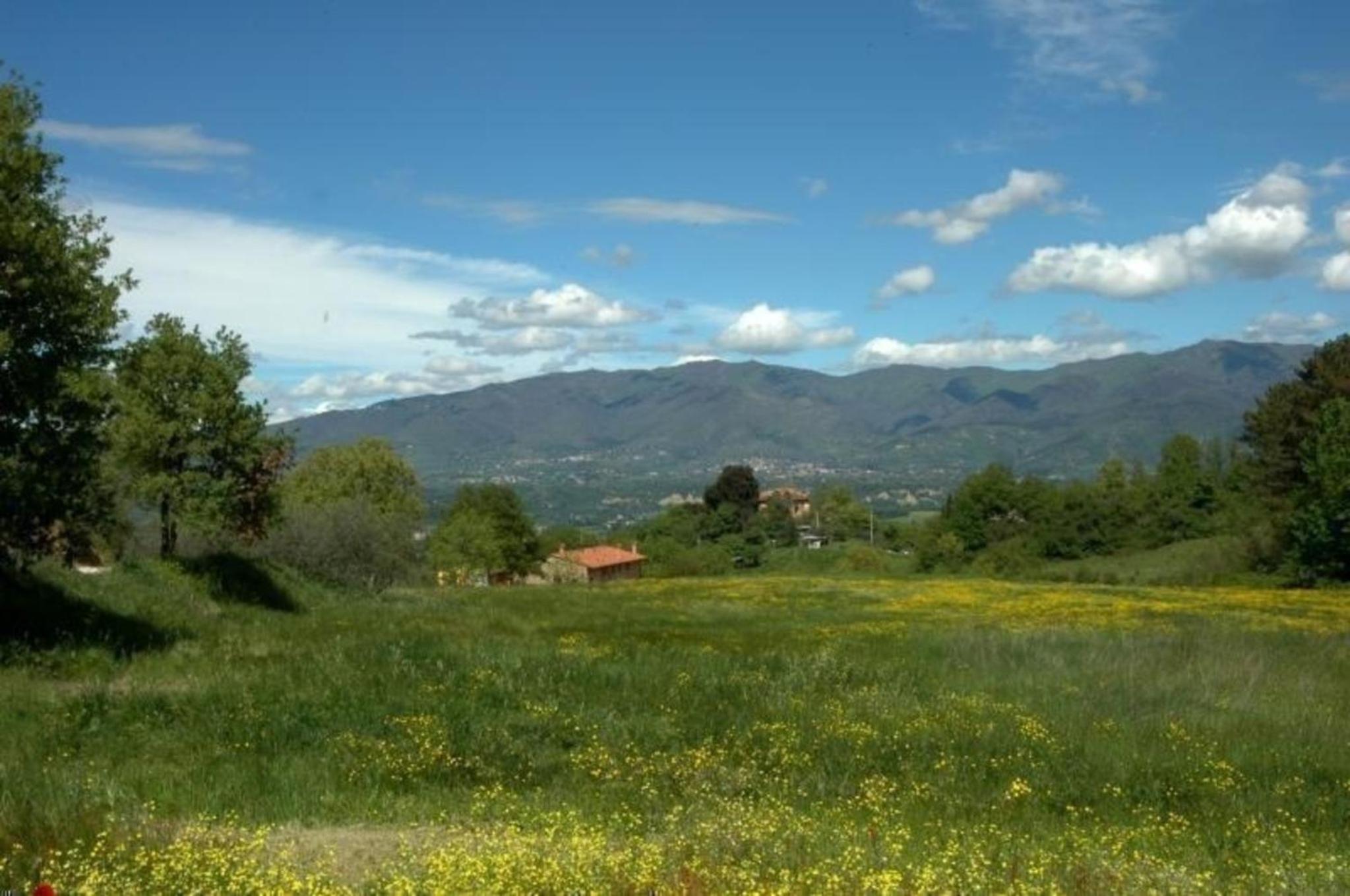 Appartement in Figline Valdarno mit gemeinsamem Pool, Grill und Terrasse photo 5