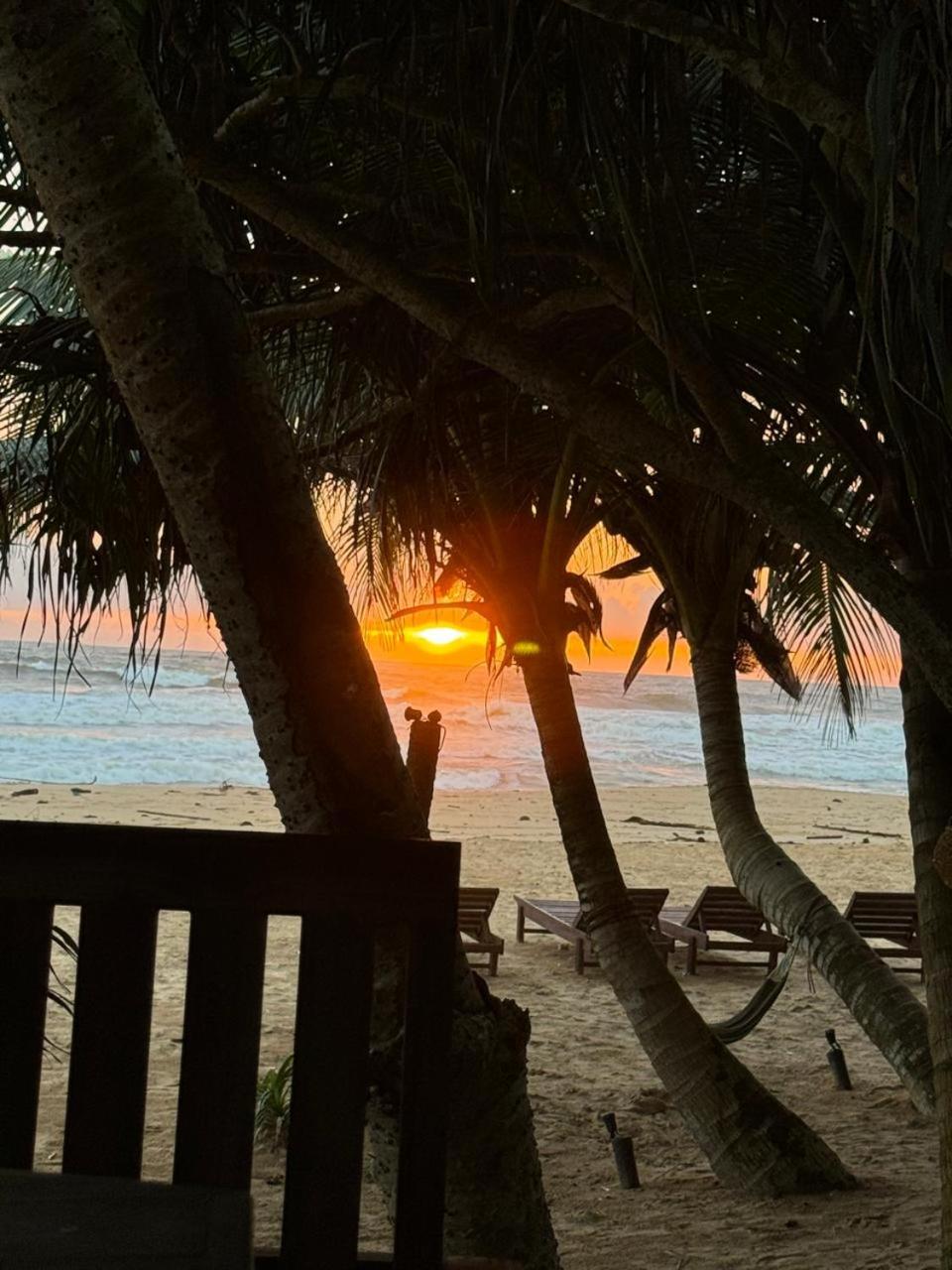 Coconut Beach view 4