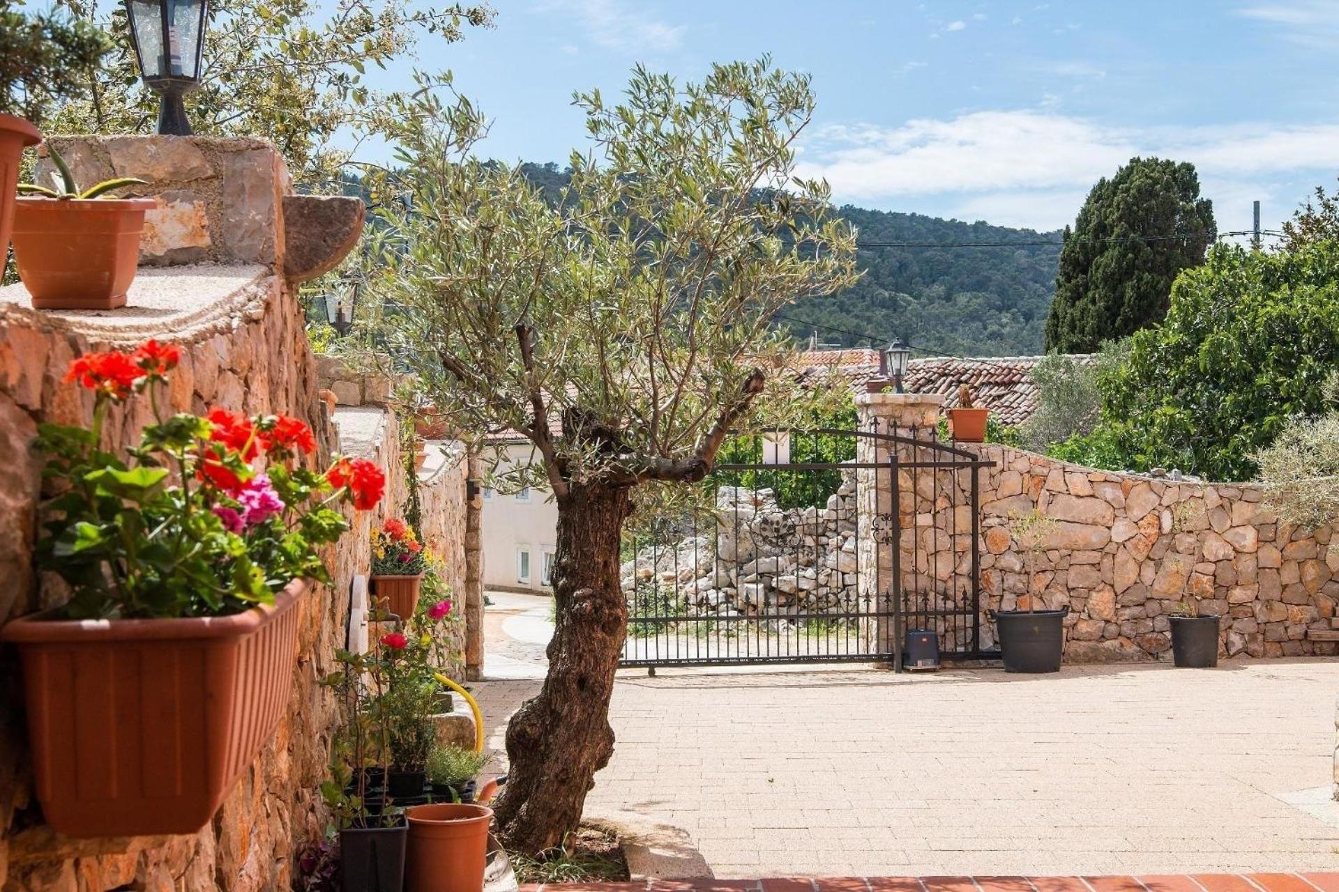 Appartement Casper Mit Terrasse, Garten Und Grill view 5