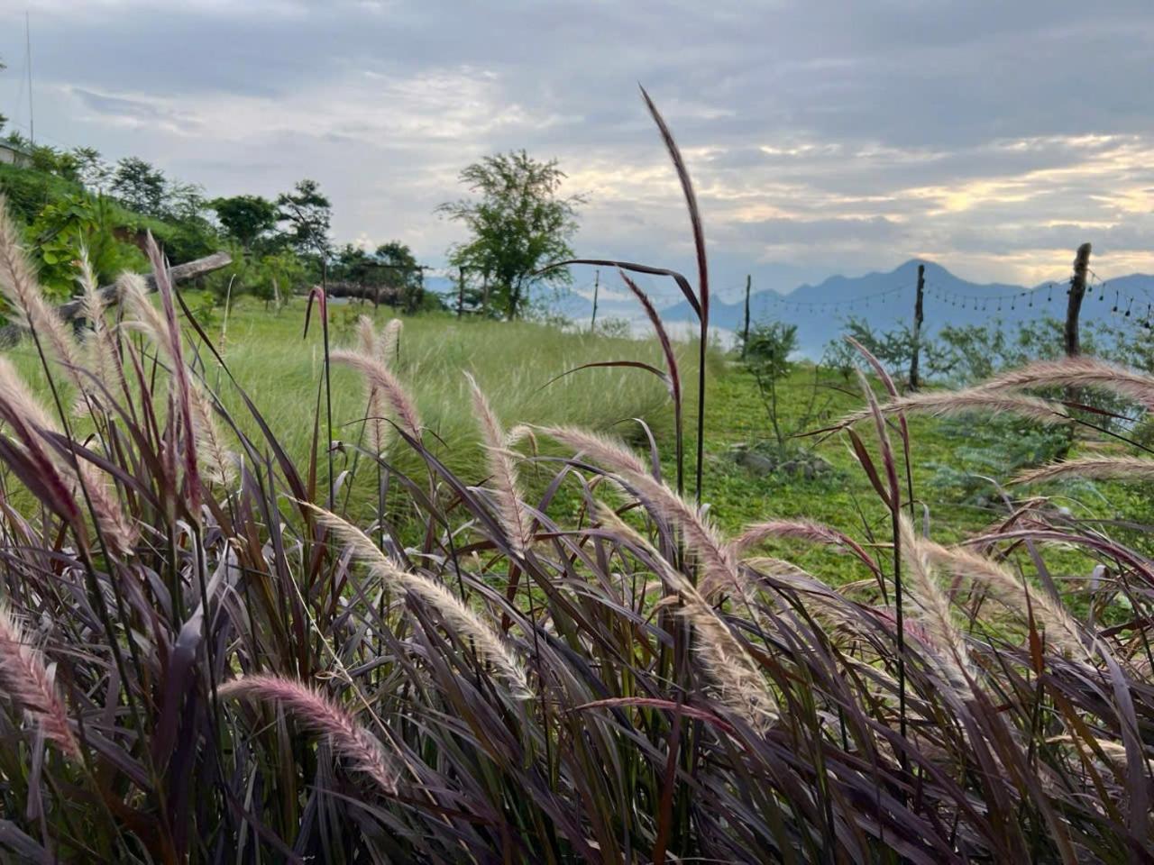 SIM Farmstay Hà Giang