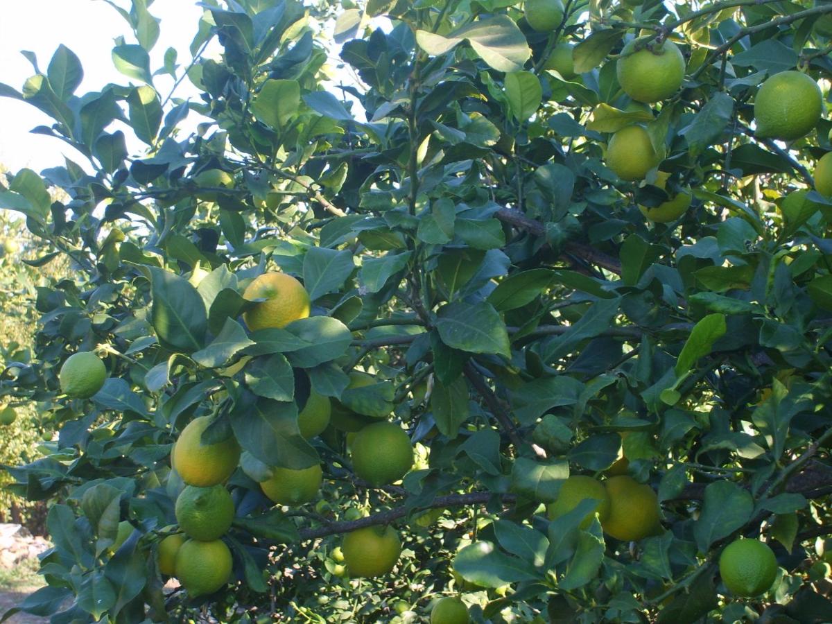 Photo 24