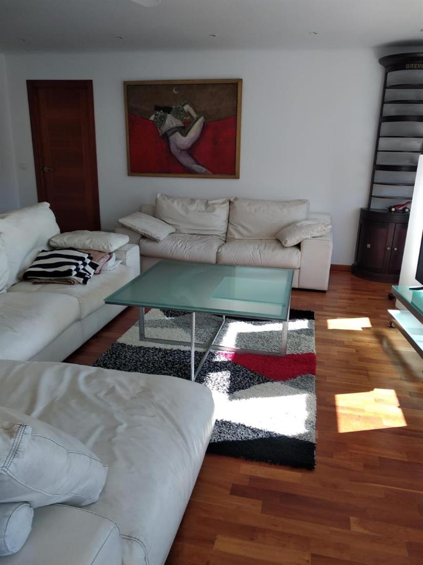 Villa Fenix