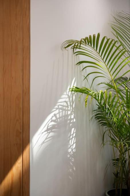 Charming Sunny Studio