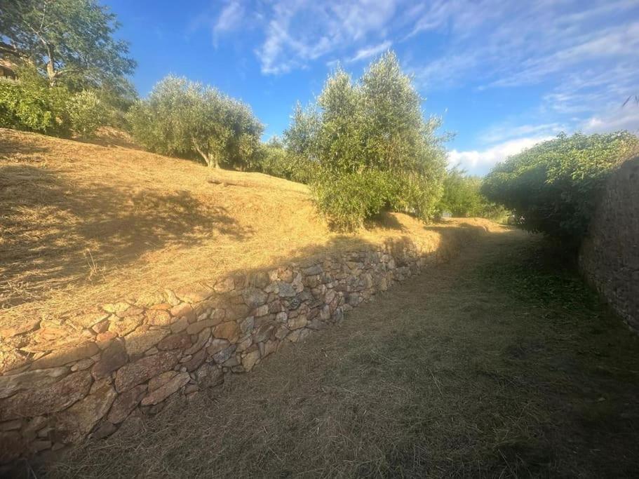 Le Acacie - Casa panoramica tra gli olivi view 3