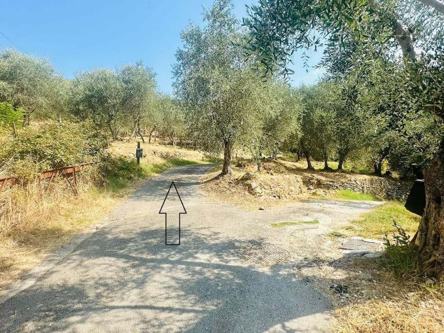 Le Acacie - Casa panoramica tra gli olivi view 4