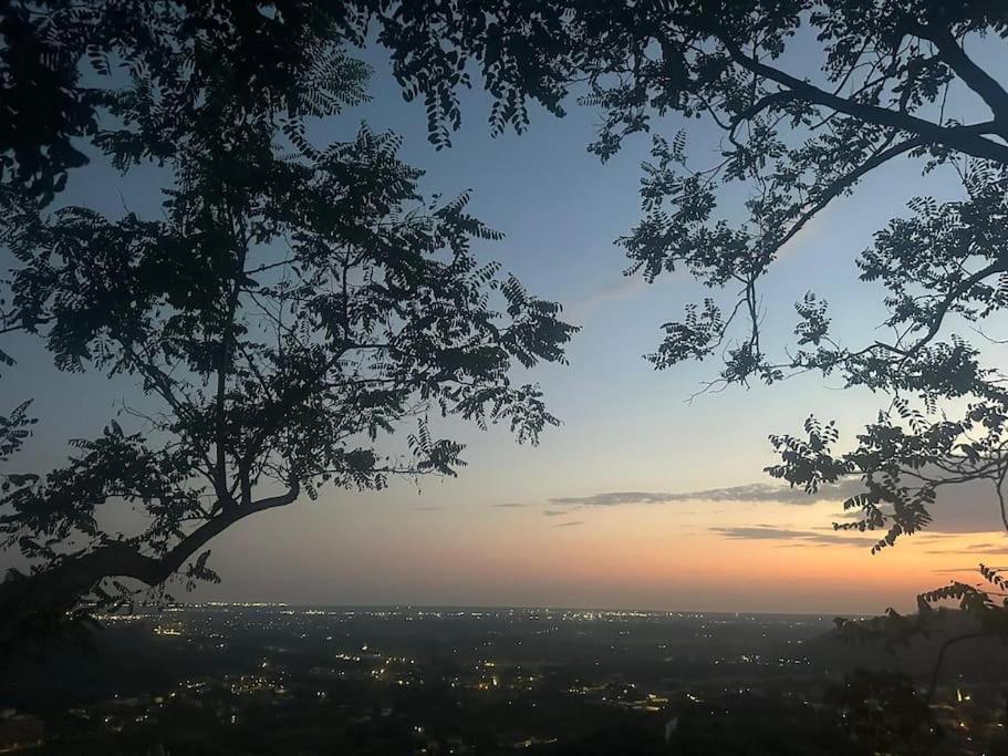 Le Acacie - Casa panoramica tra gli olivi view 5
