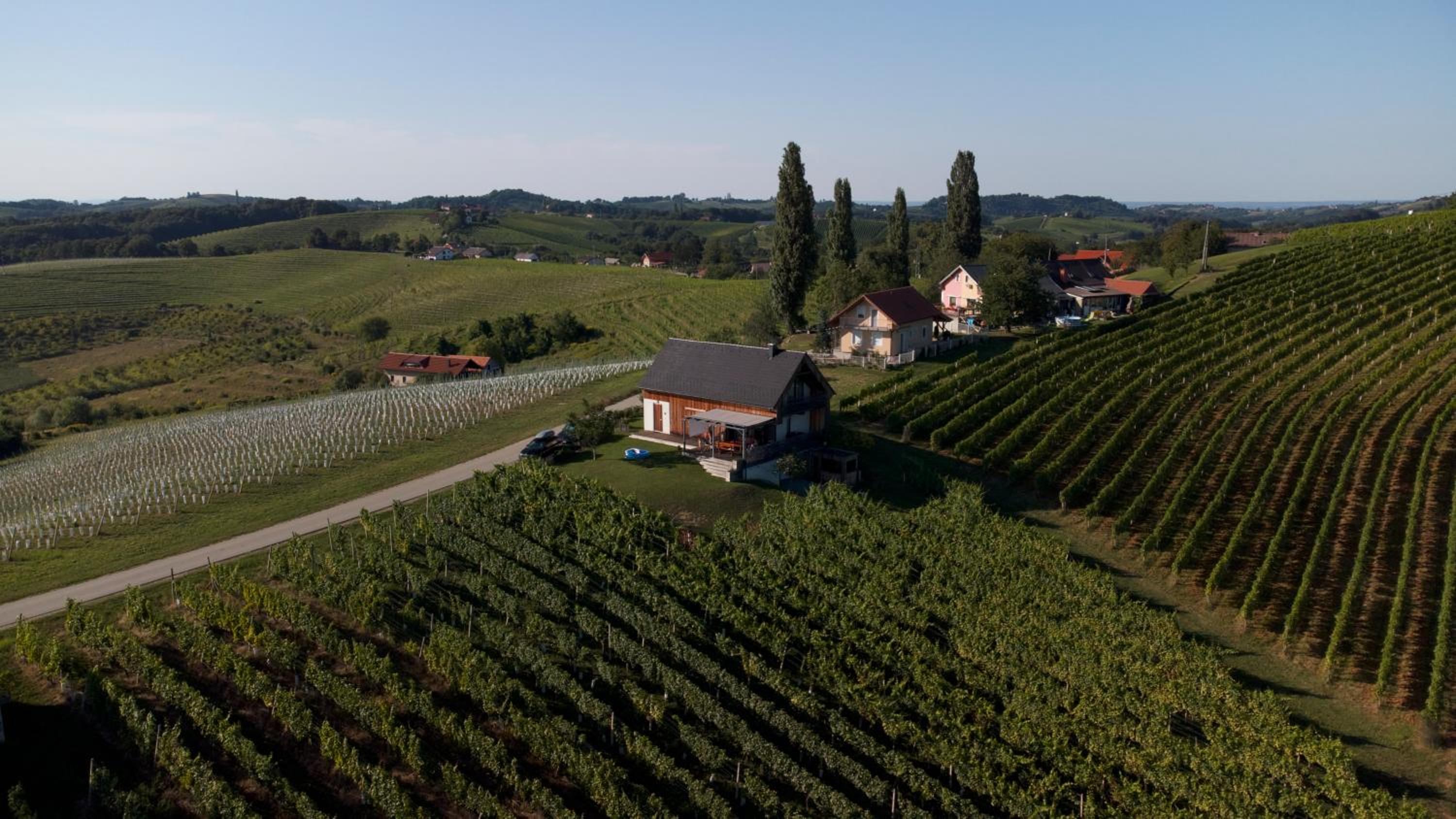 Hisa Vukan - Eco House in middle of vineyard with Sauna! view 5