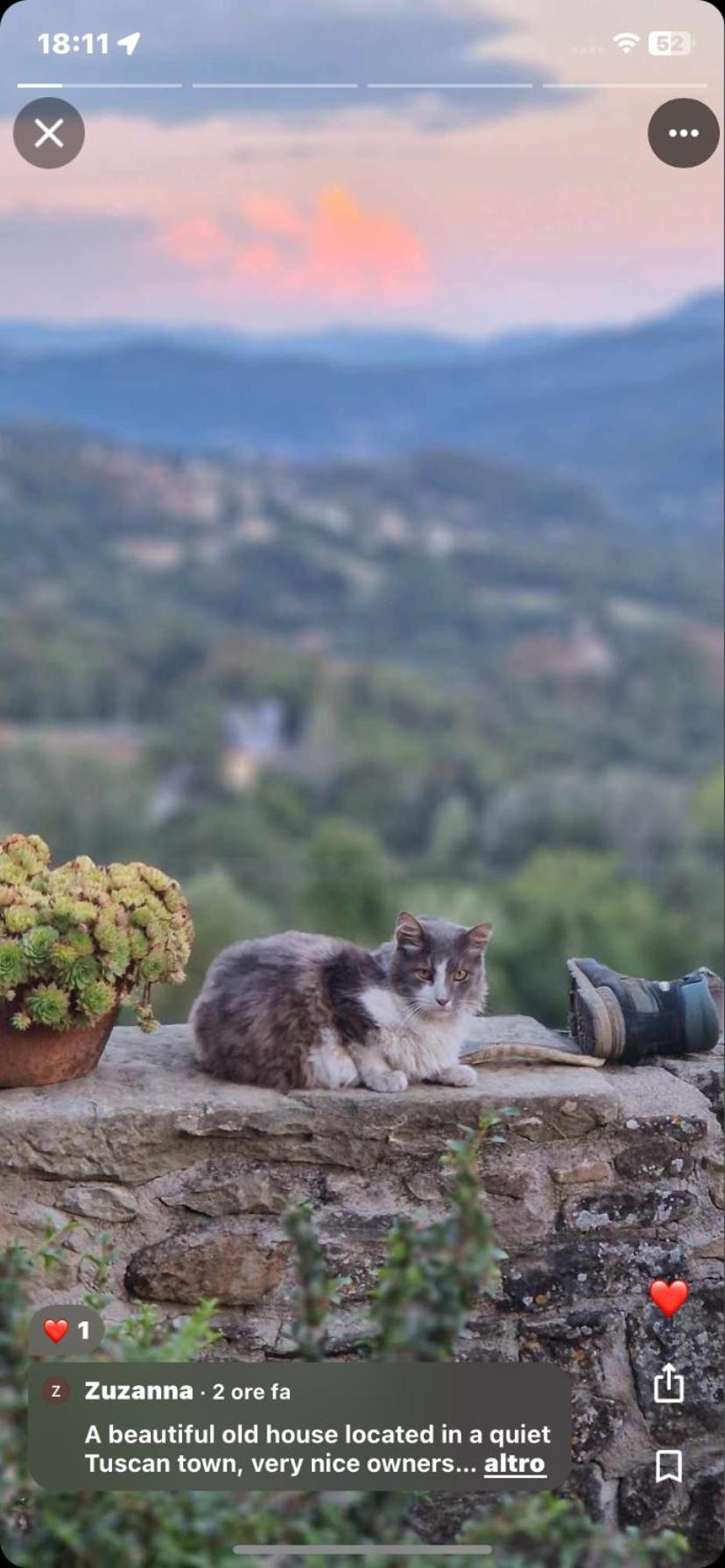 La dolce vita