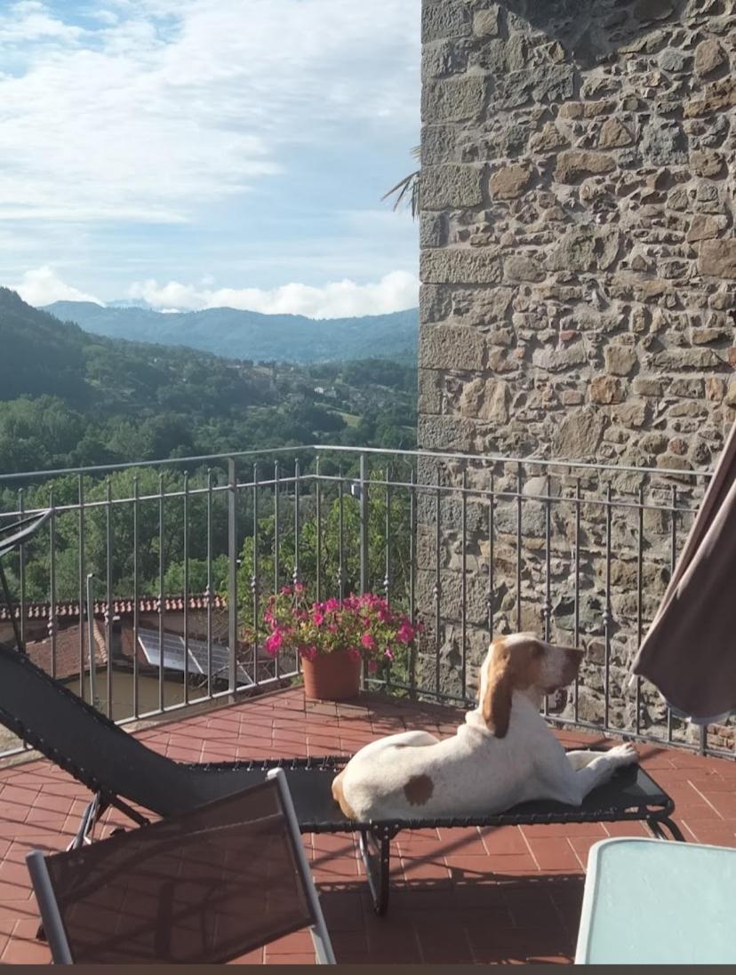 La dolce vita