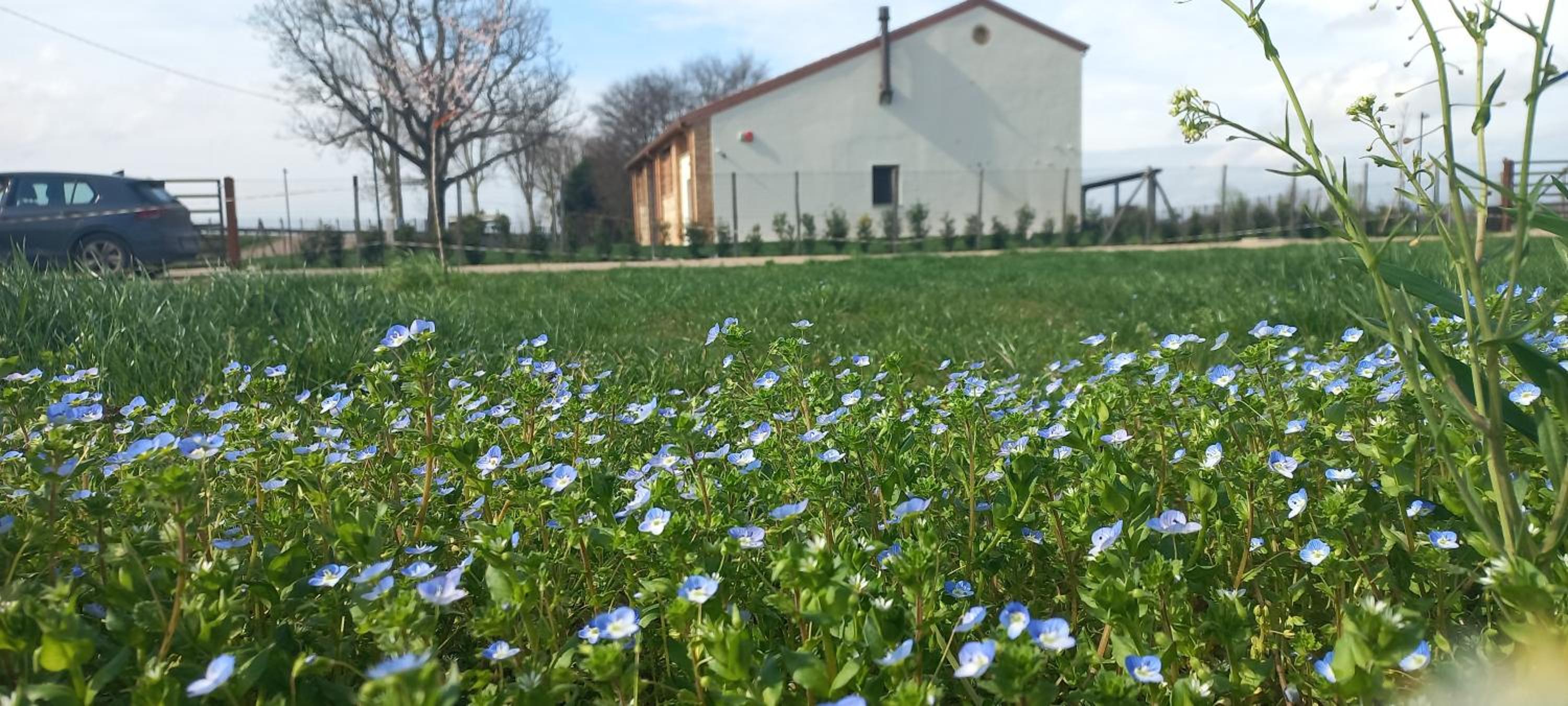 b&b Agriturismo San Matteo