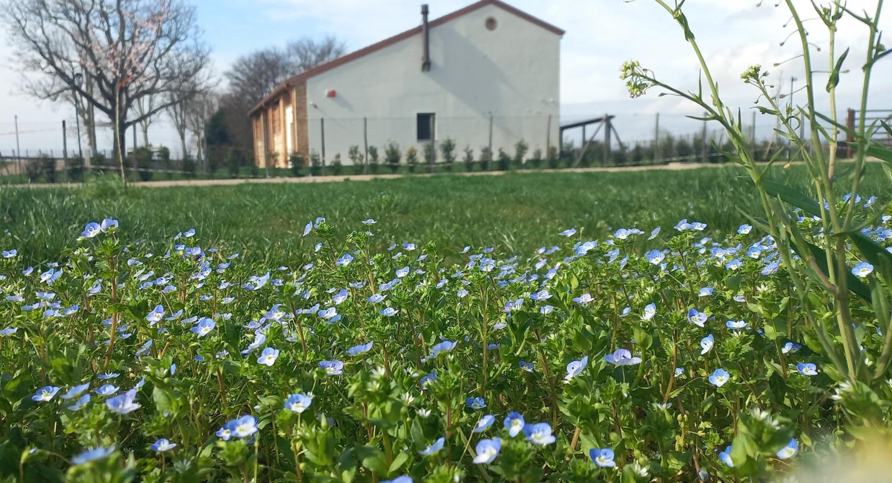 b&b Agriturismo San Matteo