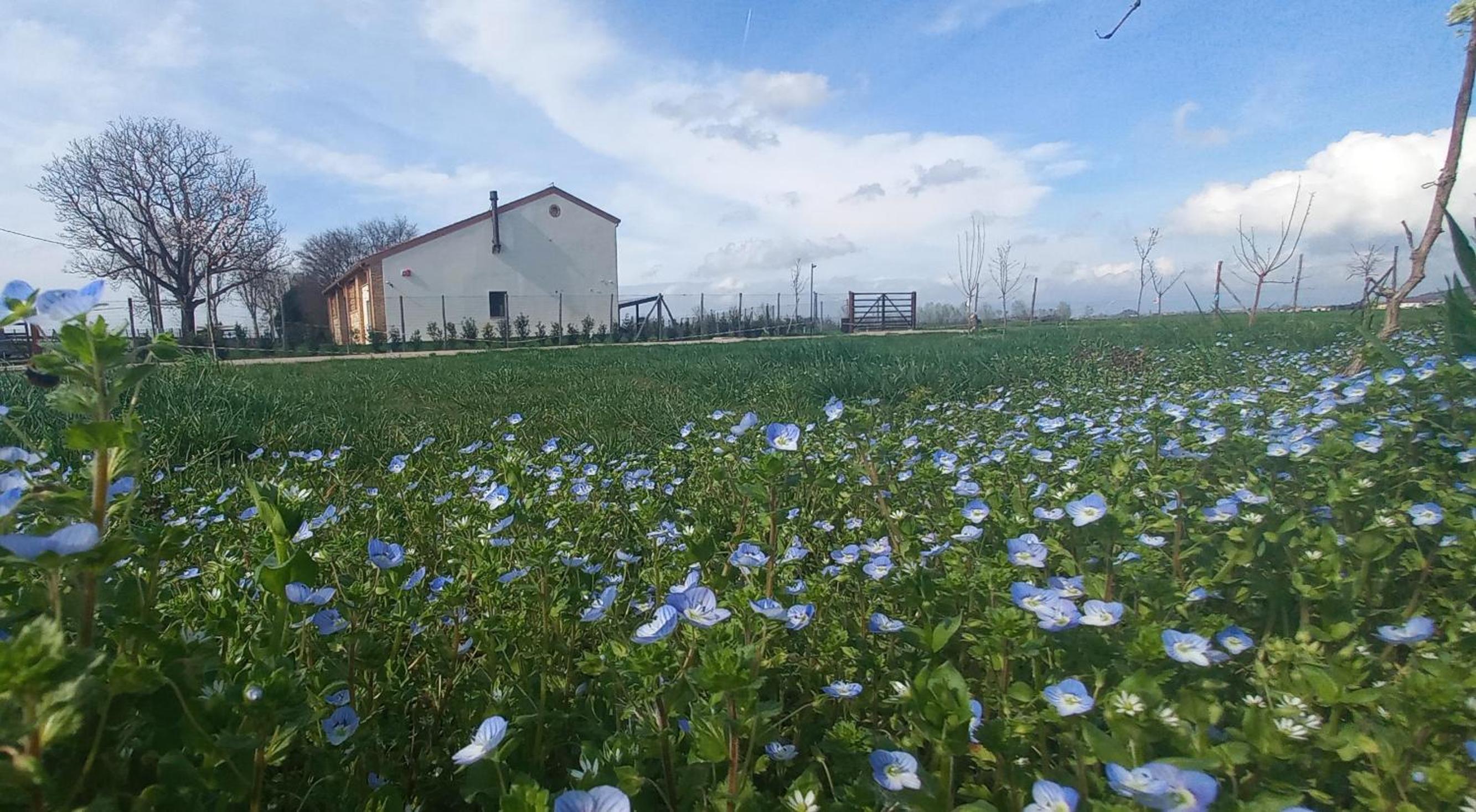 b&b Agriturismo San Matteo
