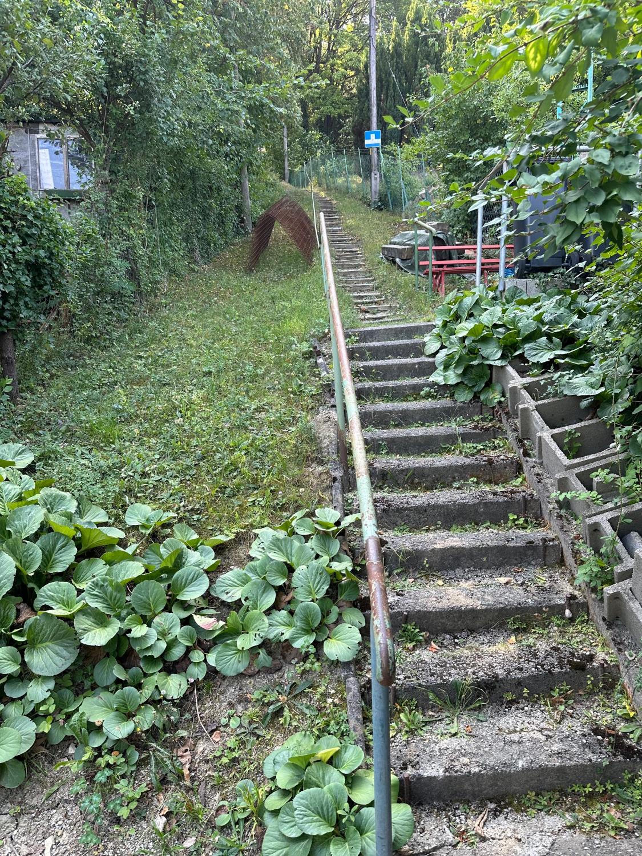 Sommerhaus Zur Eule