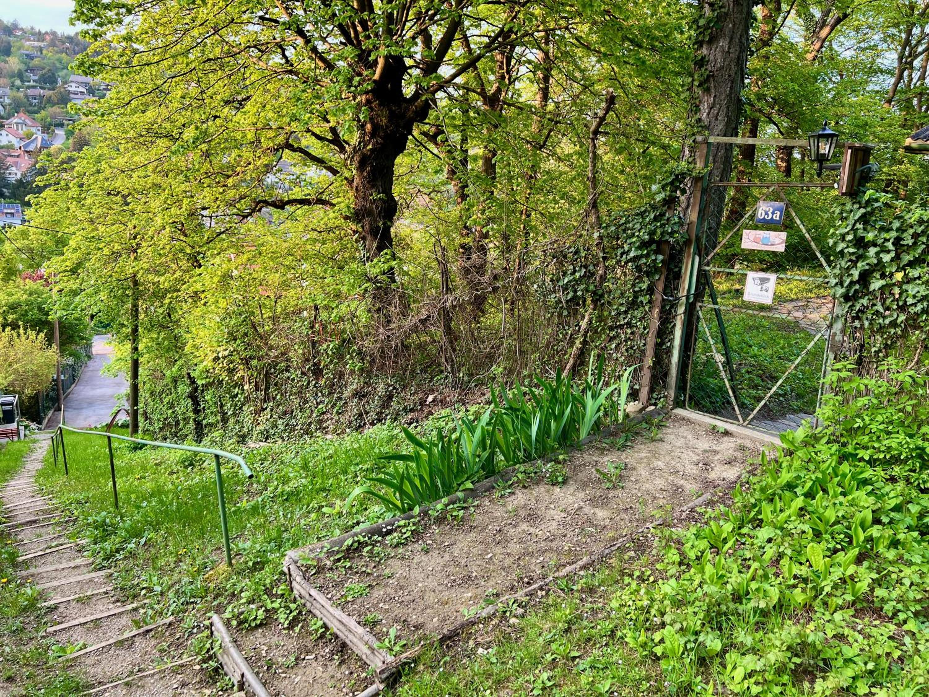 Sommerhaus Zur Eule