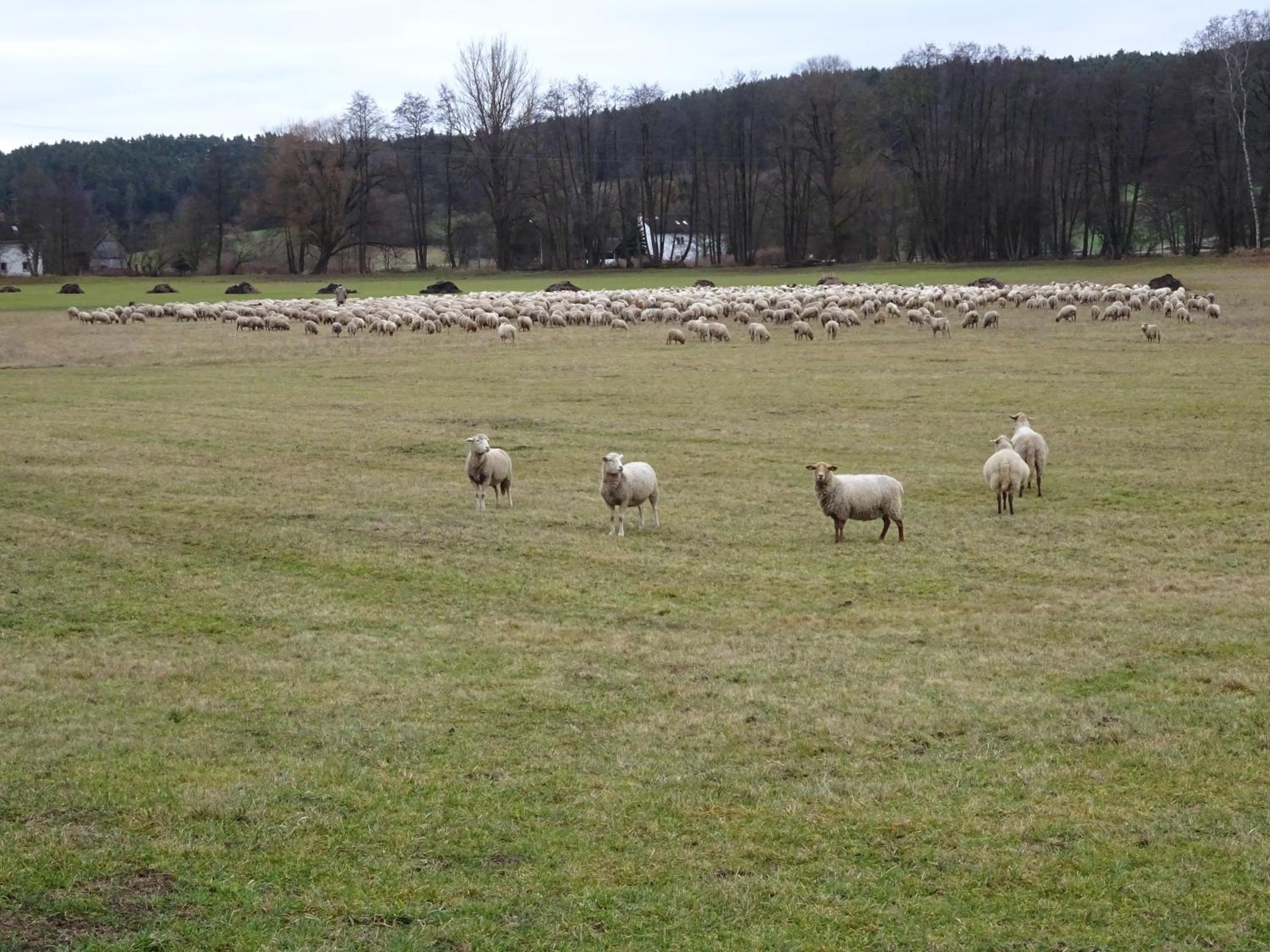 Ferienwohnung Wassergartenparadies