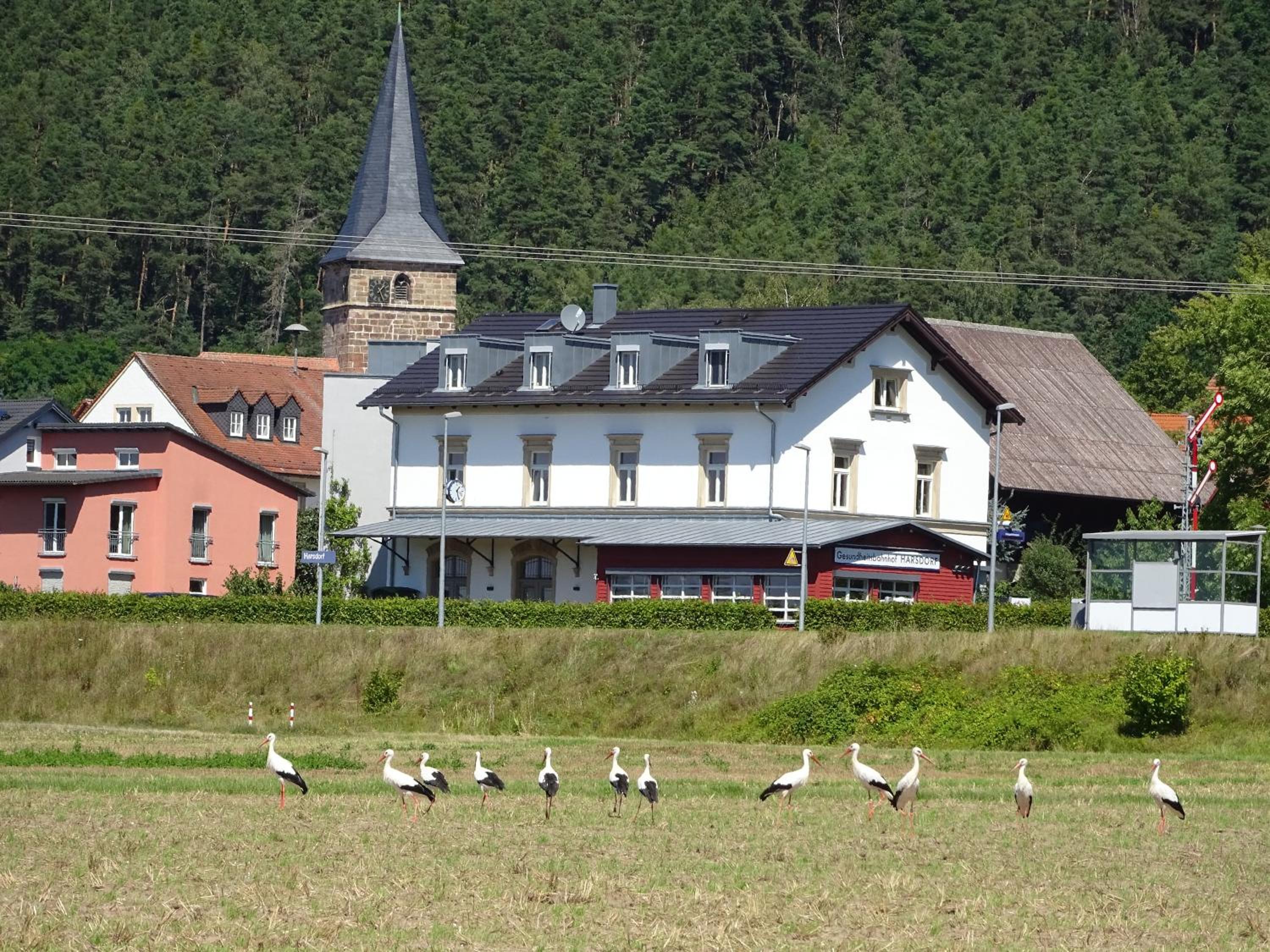 Ferienwohnung Wassergartenparadies