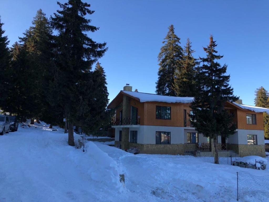 Gvazis Cottage