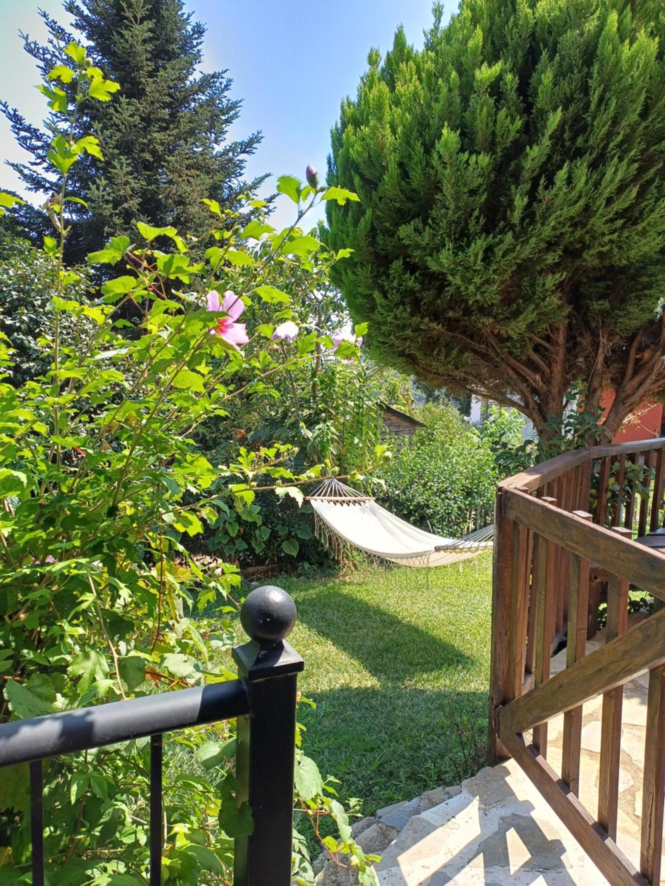 Efi's Guest House view 4