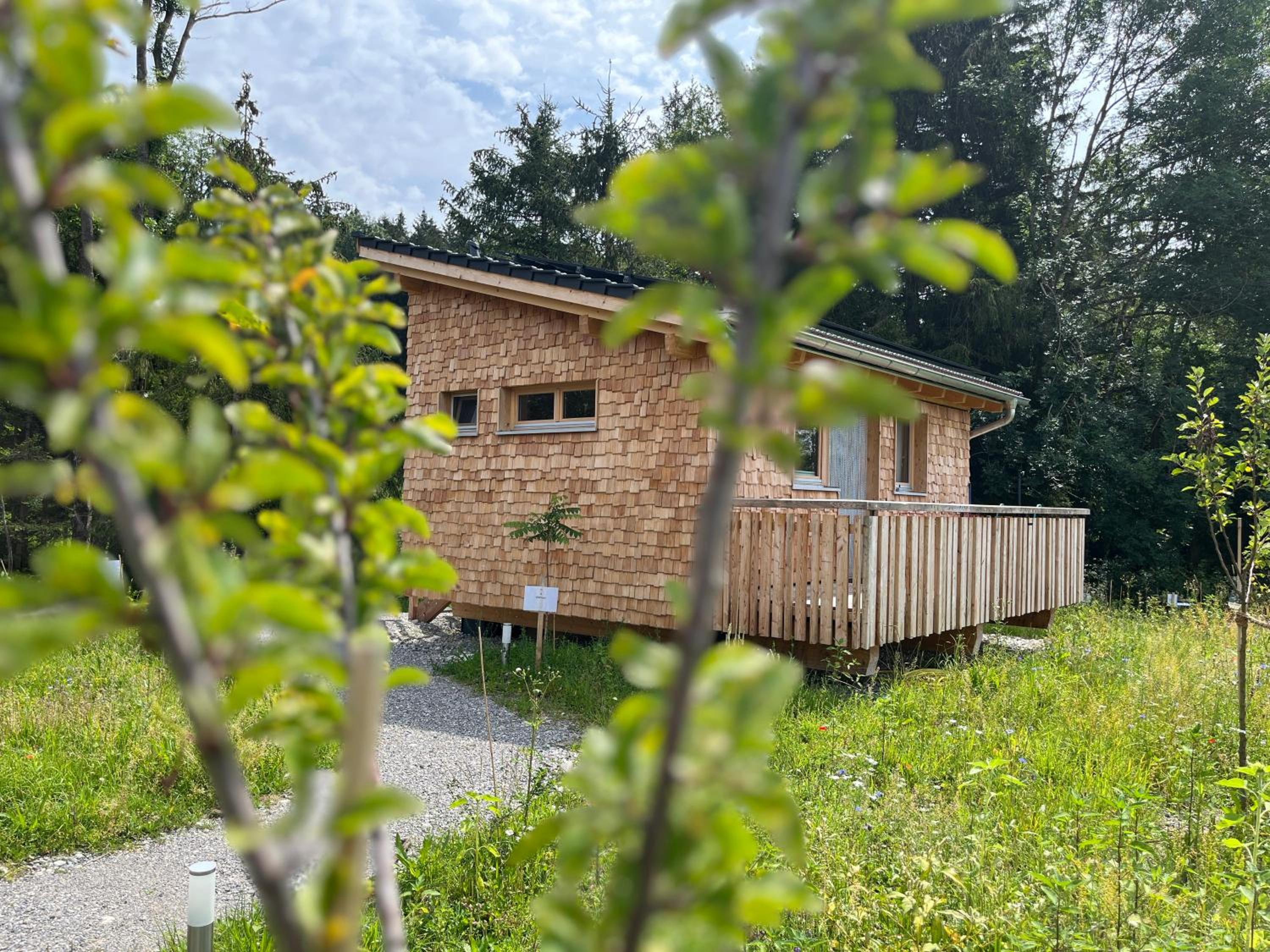 Wald ist Zukunft