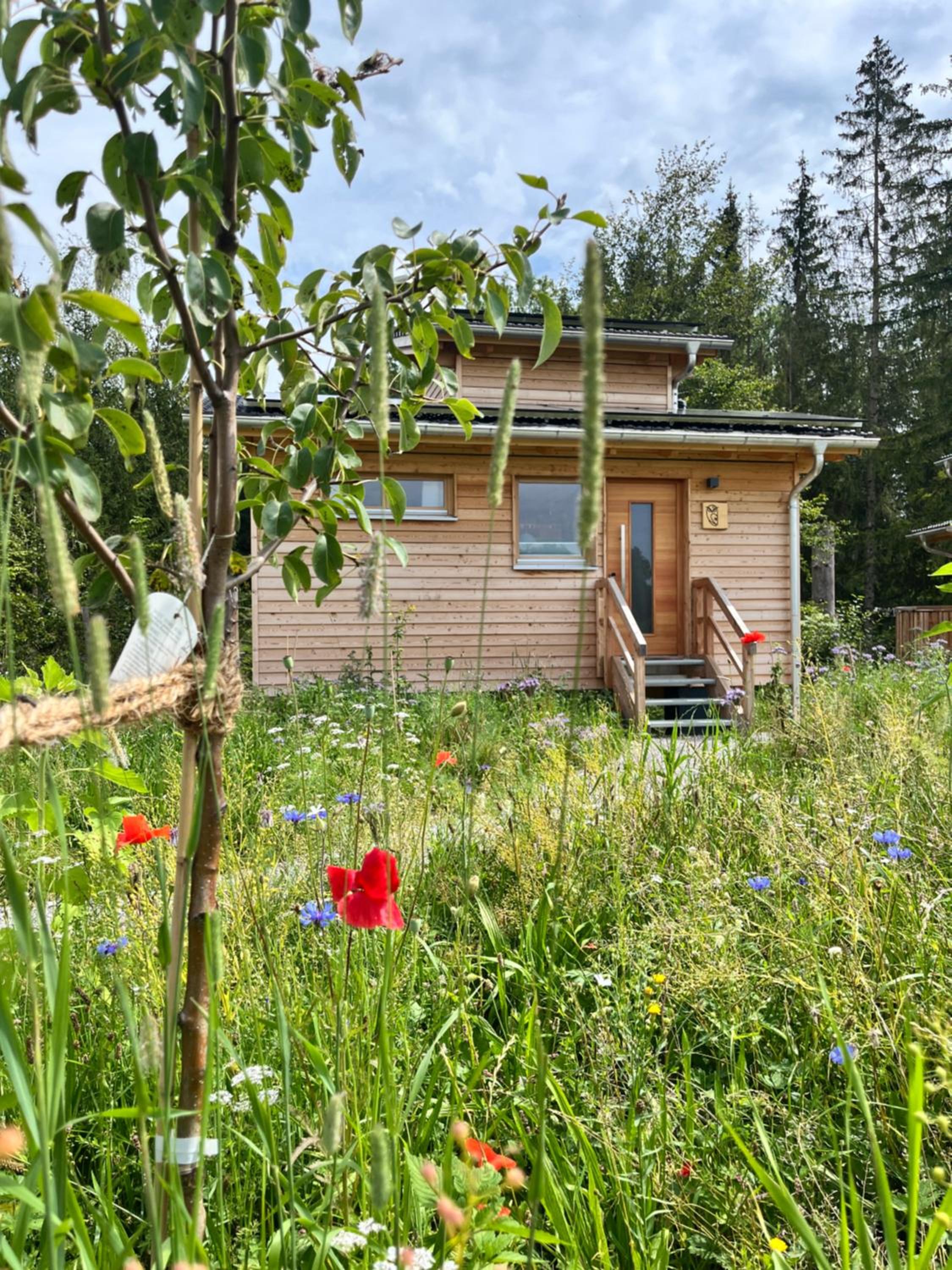 Wald ist Zukunft
