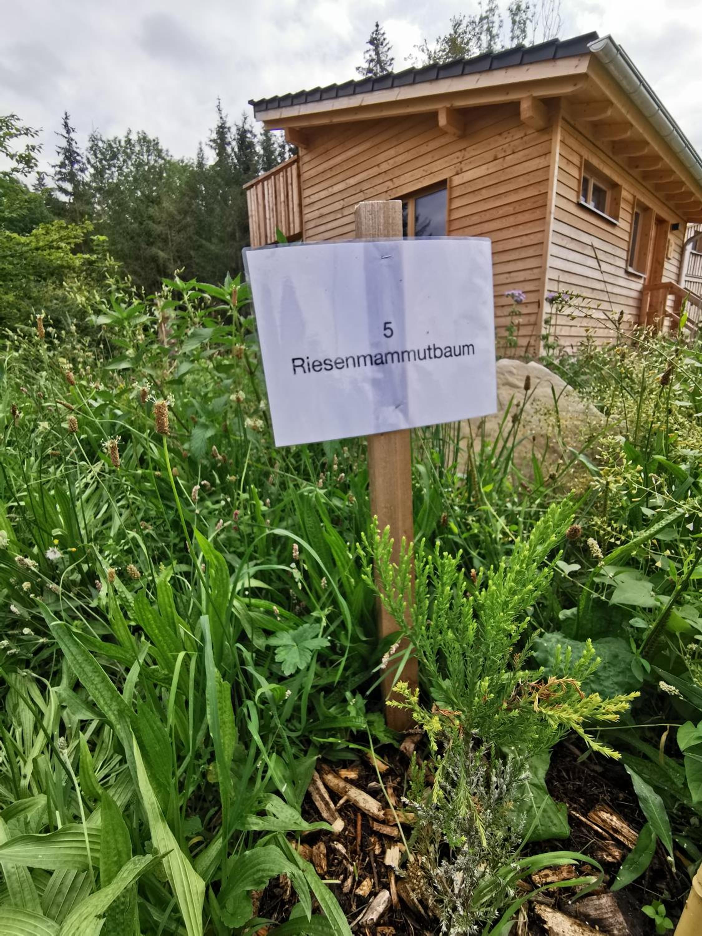 Wald ist Zukunft
