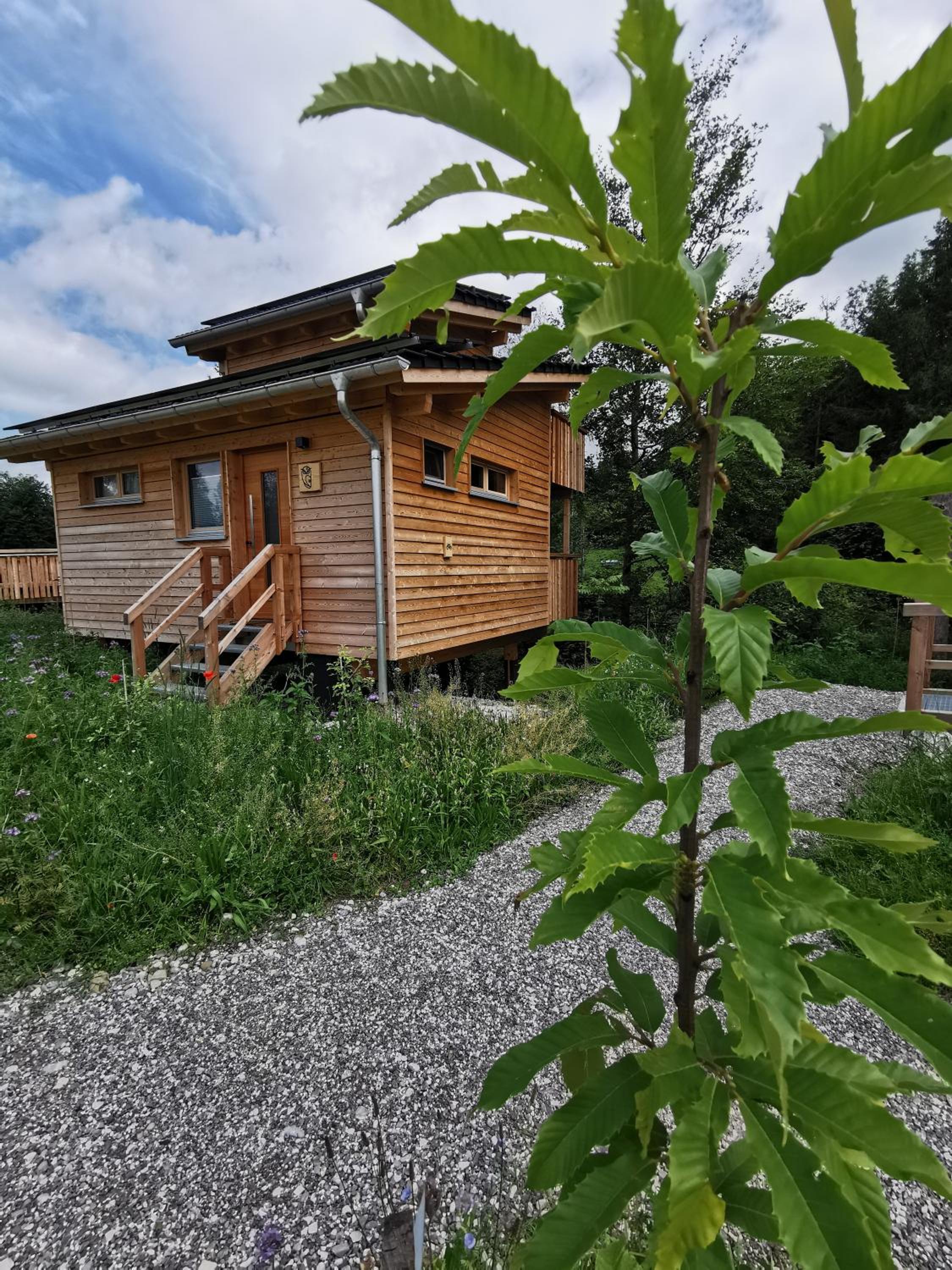 Wald ist Zukunft