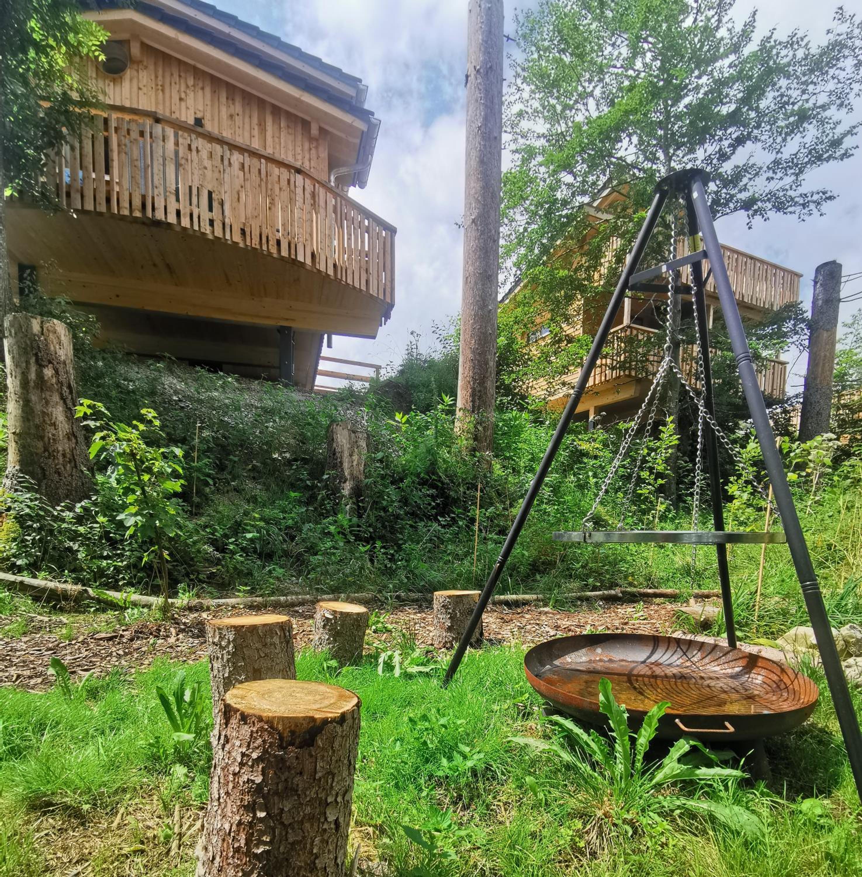 Wald ist Zukunft