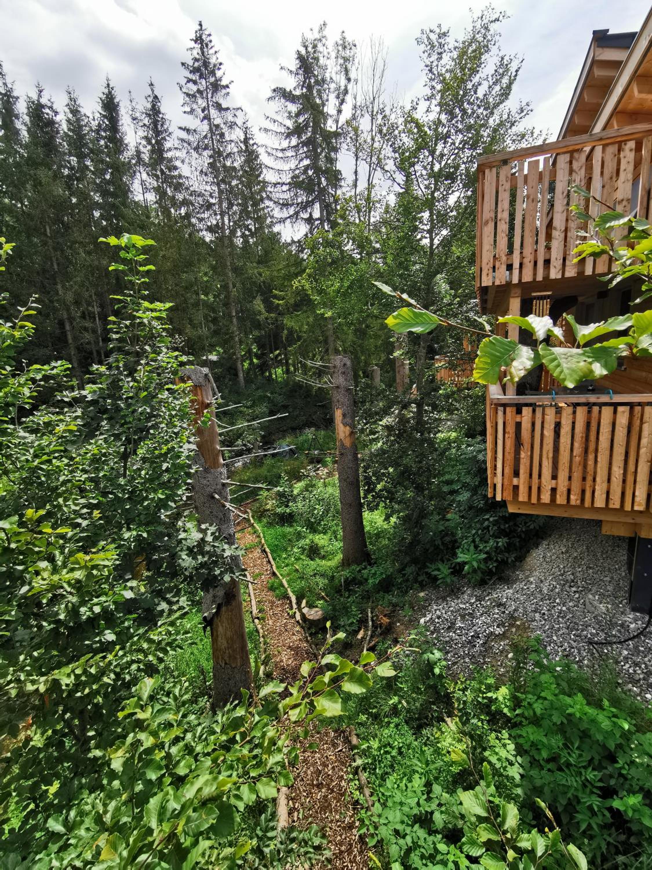 Wald ist Zukunft