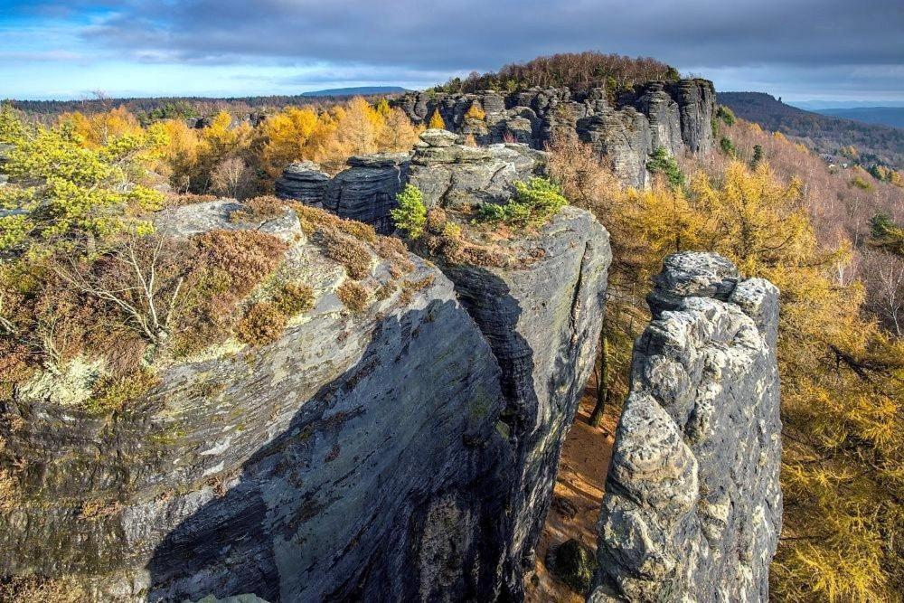 Northern Panorama