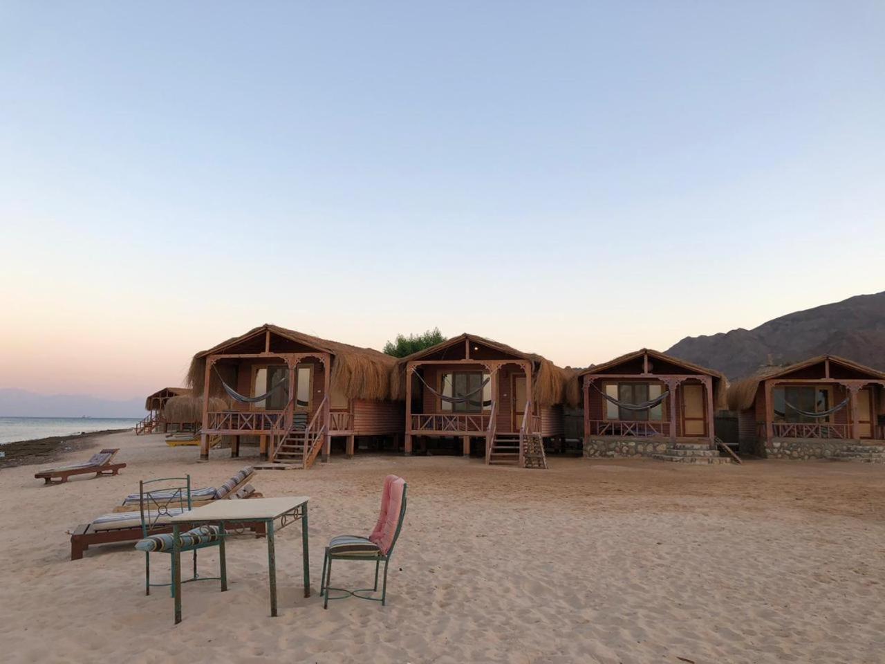 Sayal camp new