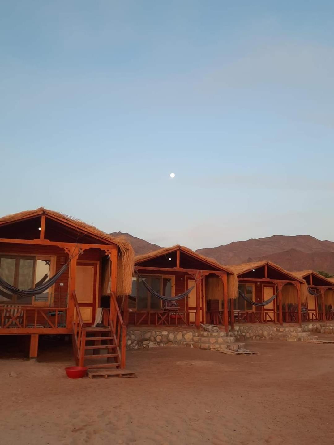 Sayal camp new