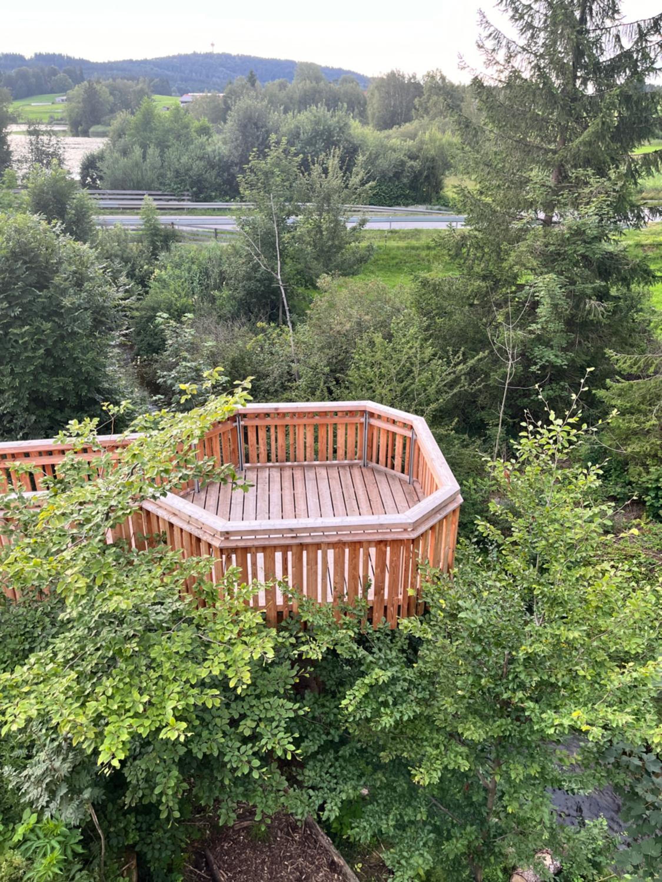Wald ist Zukunft