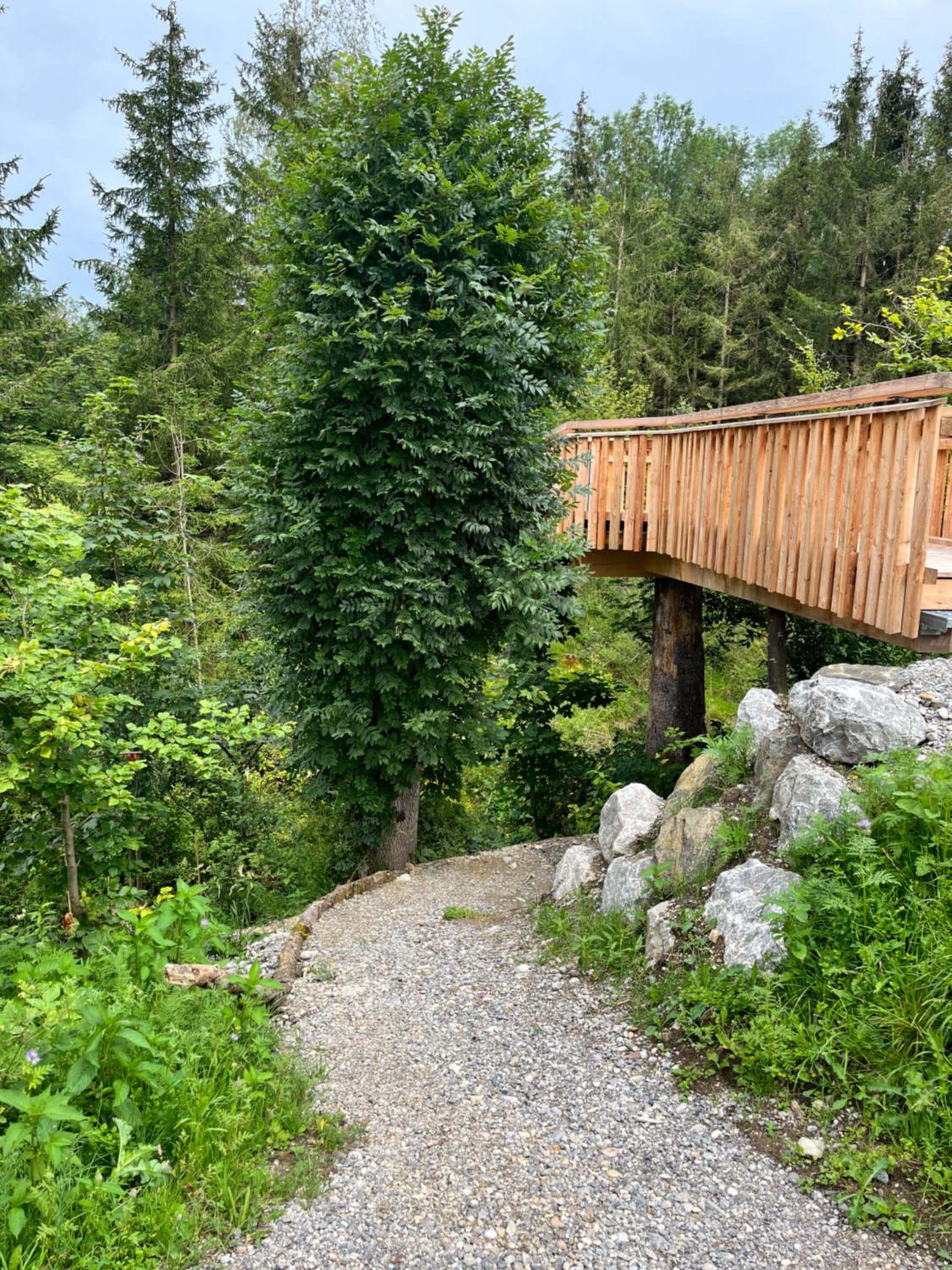 Wald ist Zukunft