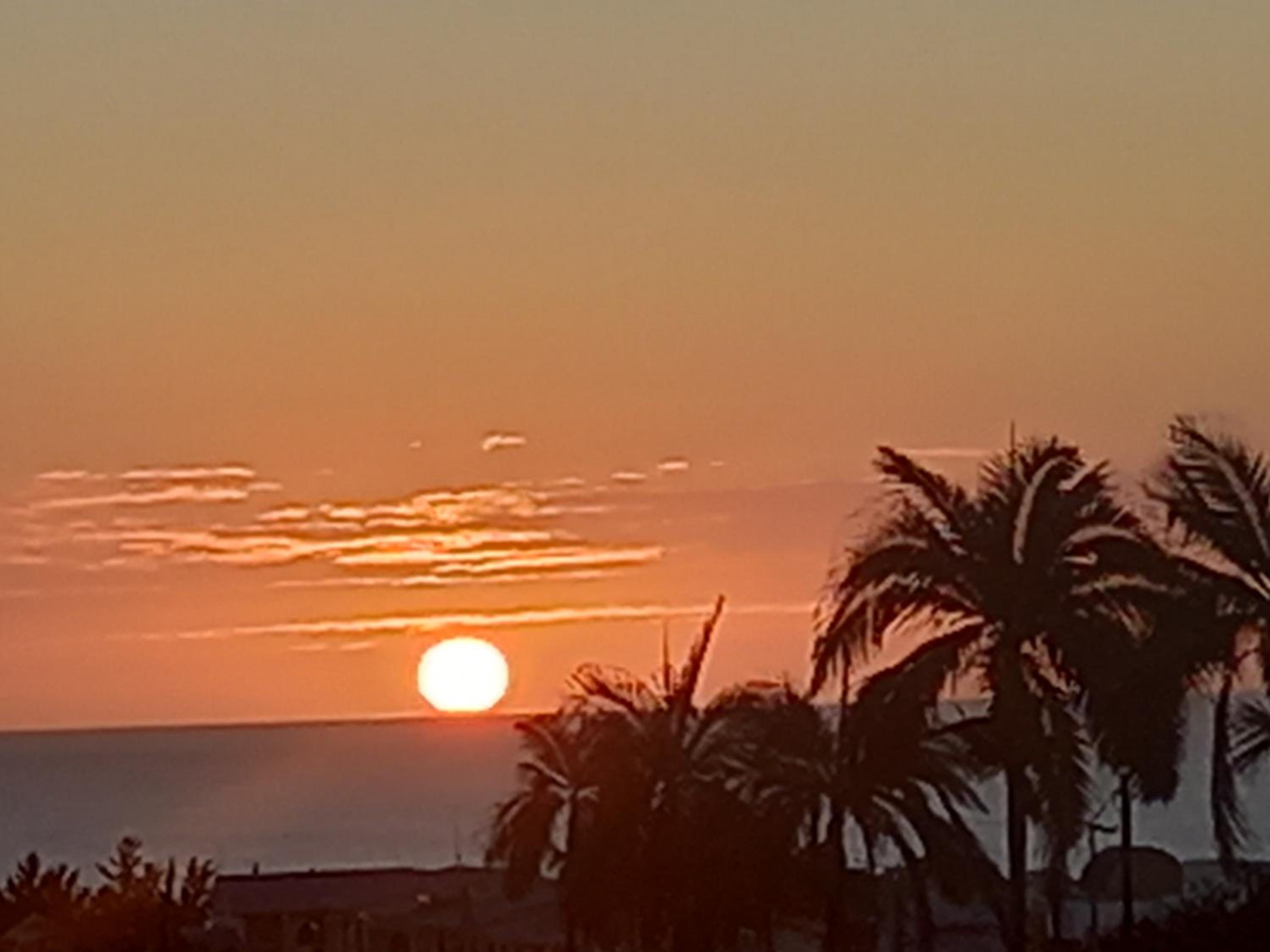 CAM Anna Sunset Avenue view 4