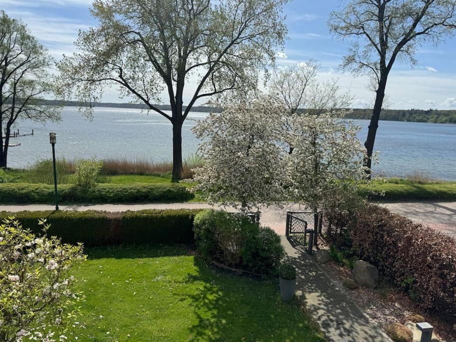 Fewo in Villa mit Seeblick OG