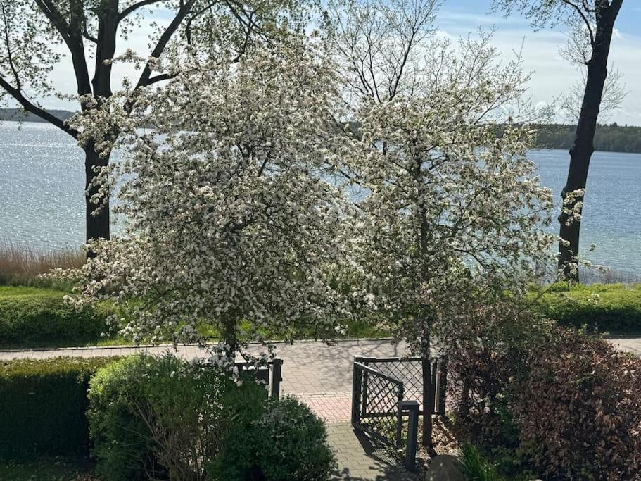 Fewo in Villa mit Seeblick OG