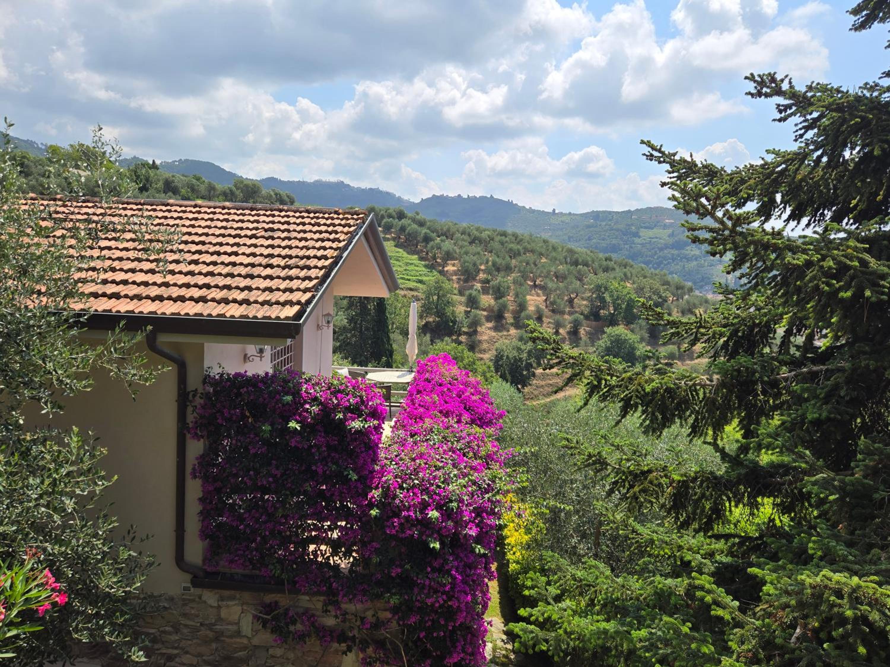 Il Pino - Charming country house with pool