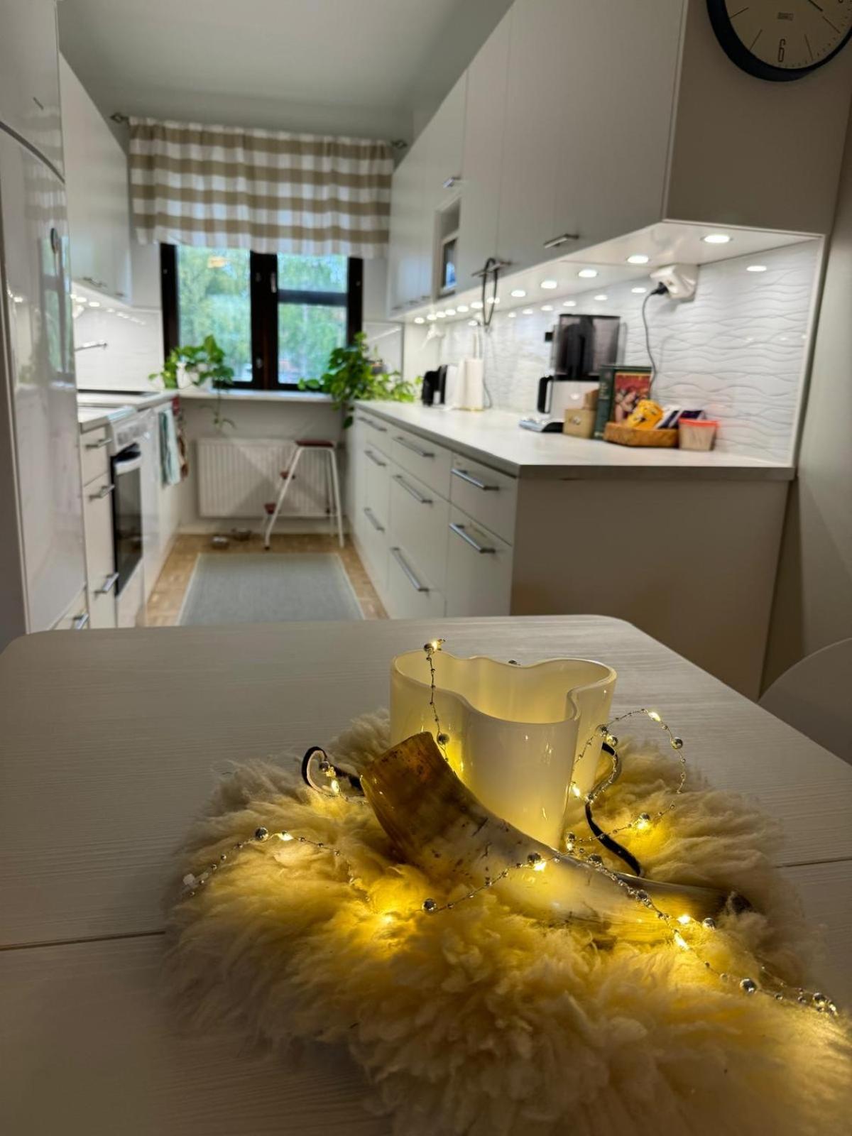 Big and cozy city centre apartment with Finnish design