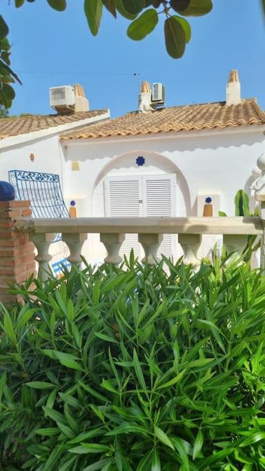 Photo 44